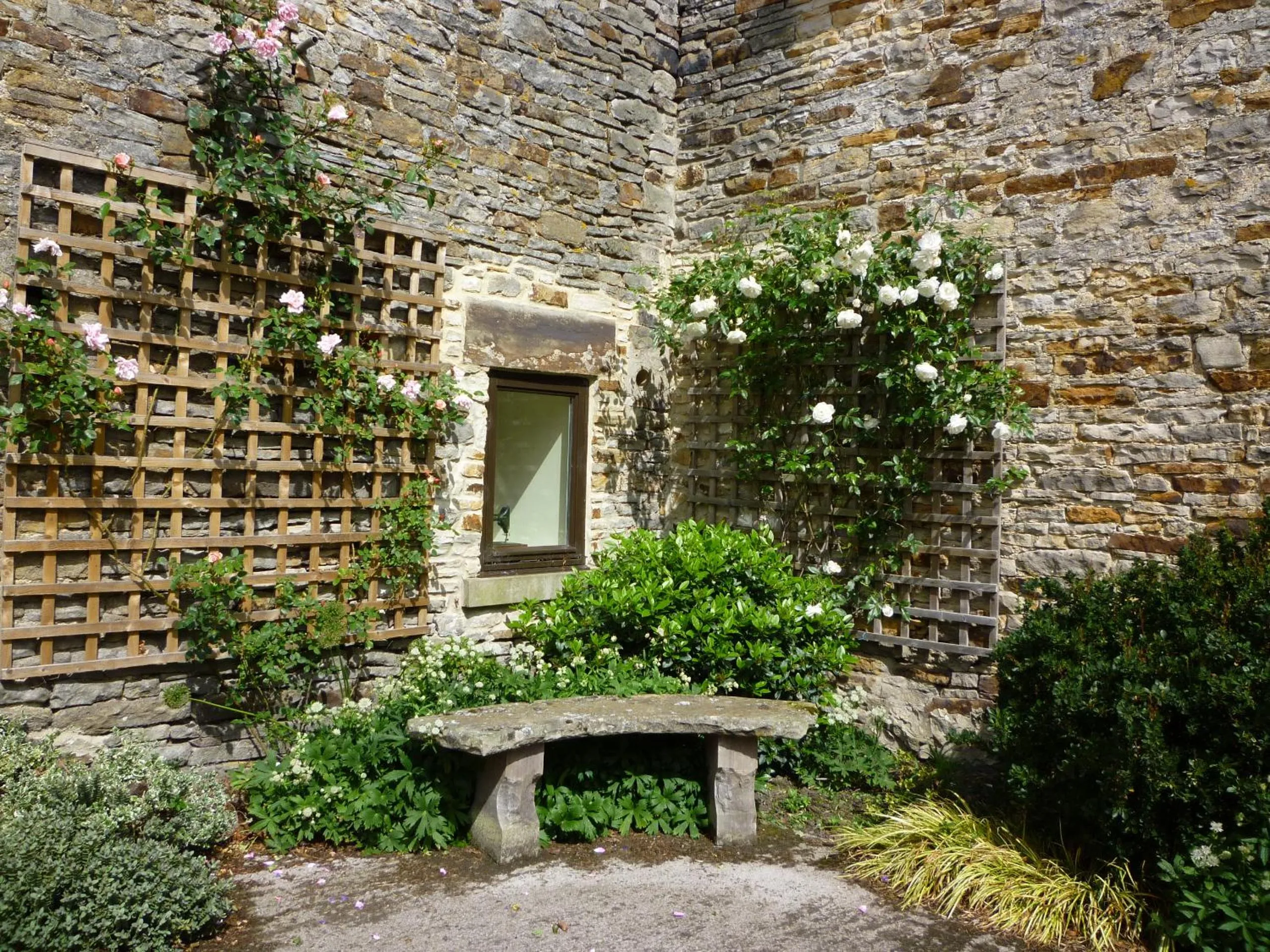 Garden in Rye Hill Farm