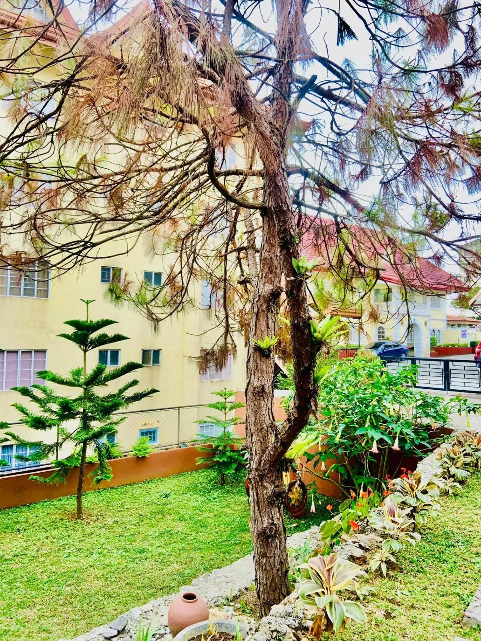 Garden in La Presca Hotel