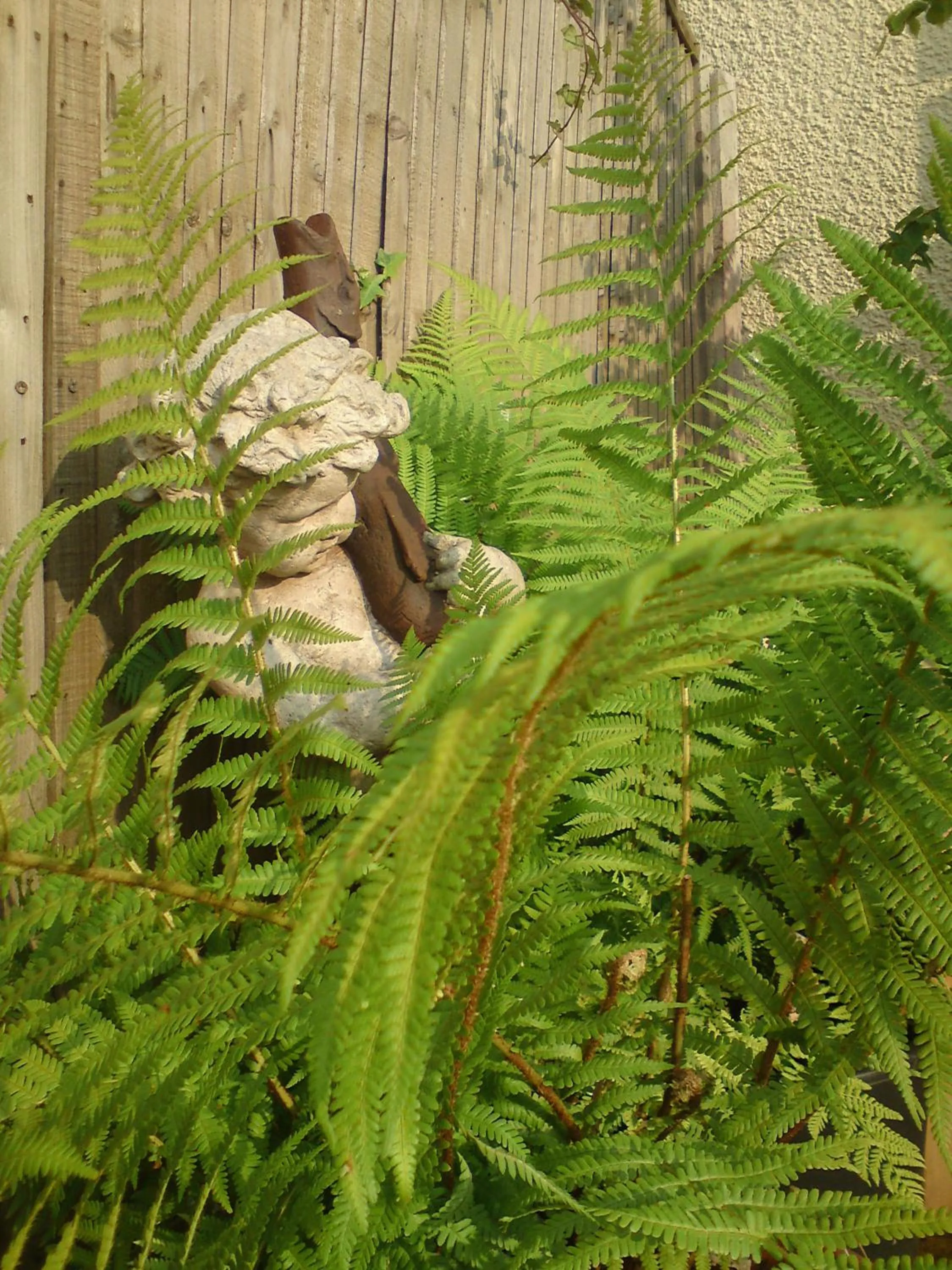 Garden in Min y Don Guest House