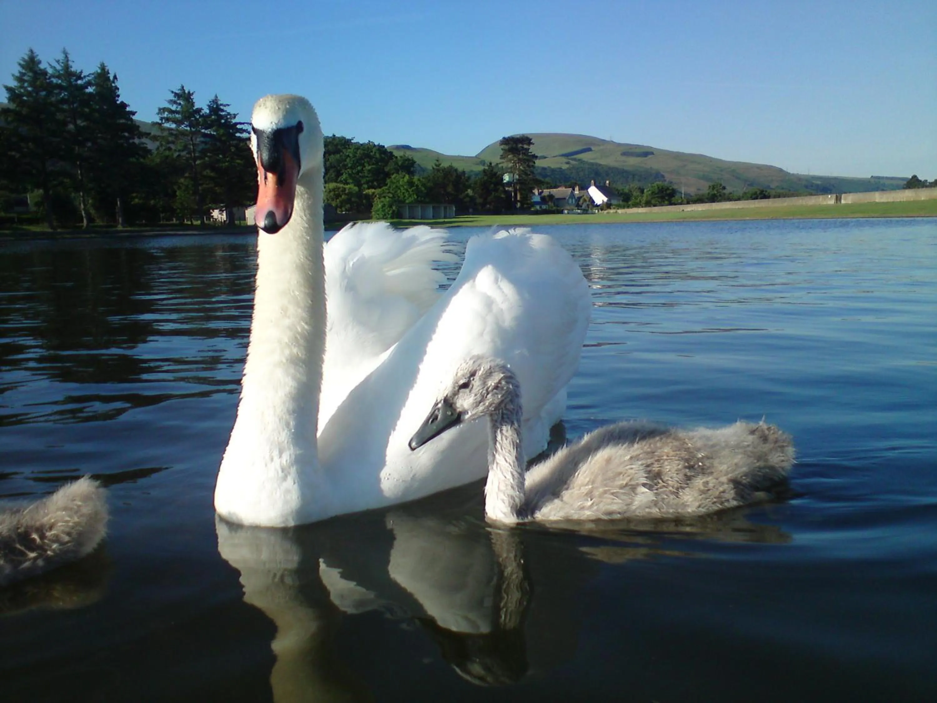 Area and facilities in Min y Don Guest House