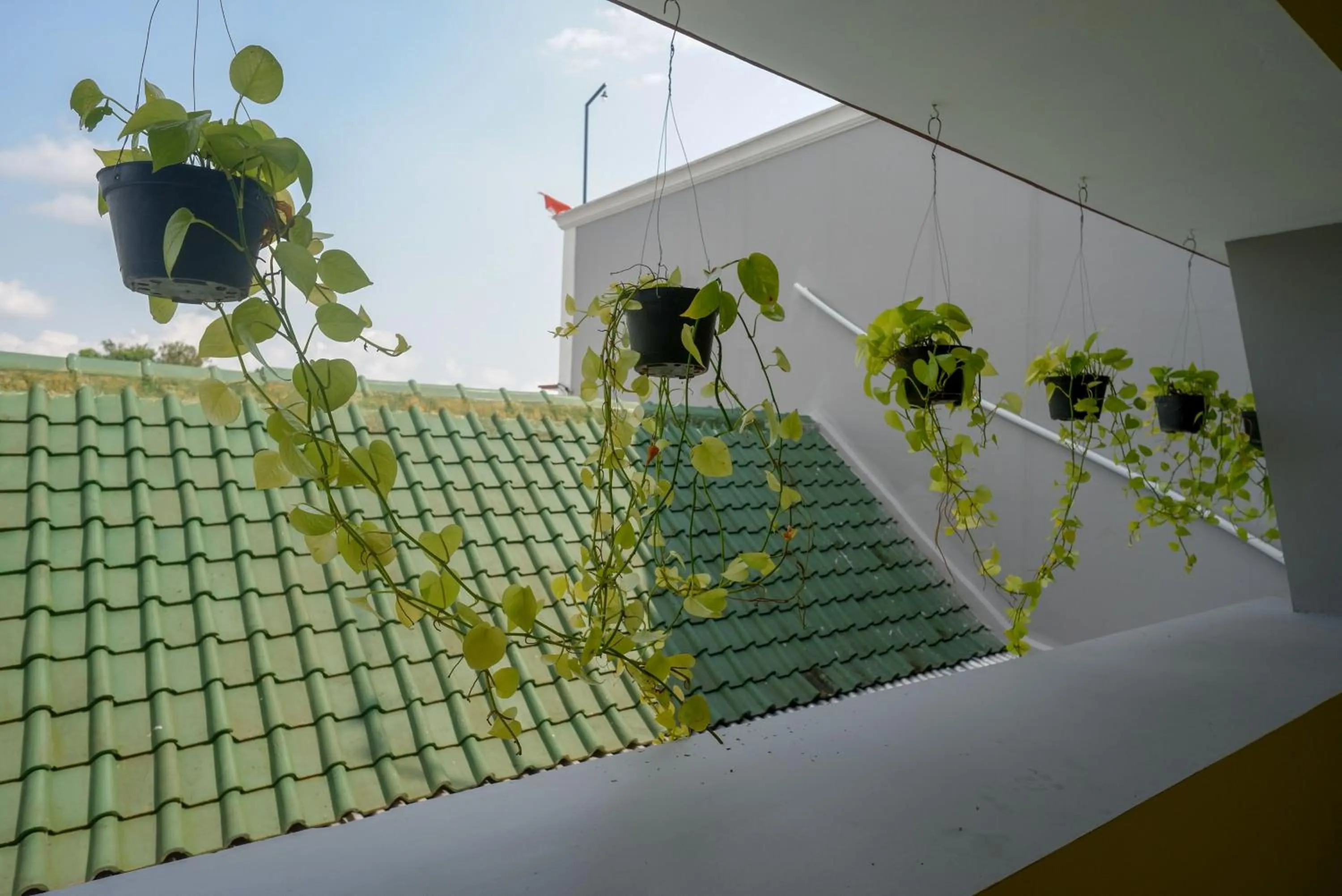 Banquet/Function facilities in RedDoorz near Rita Supermall Purwokerto 2