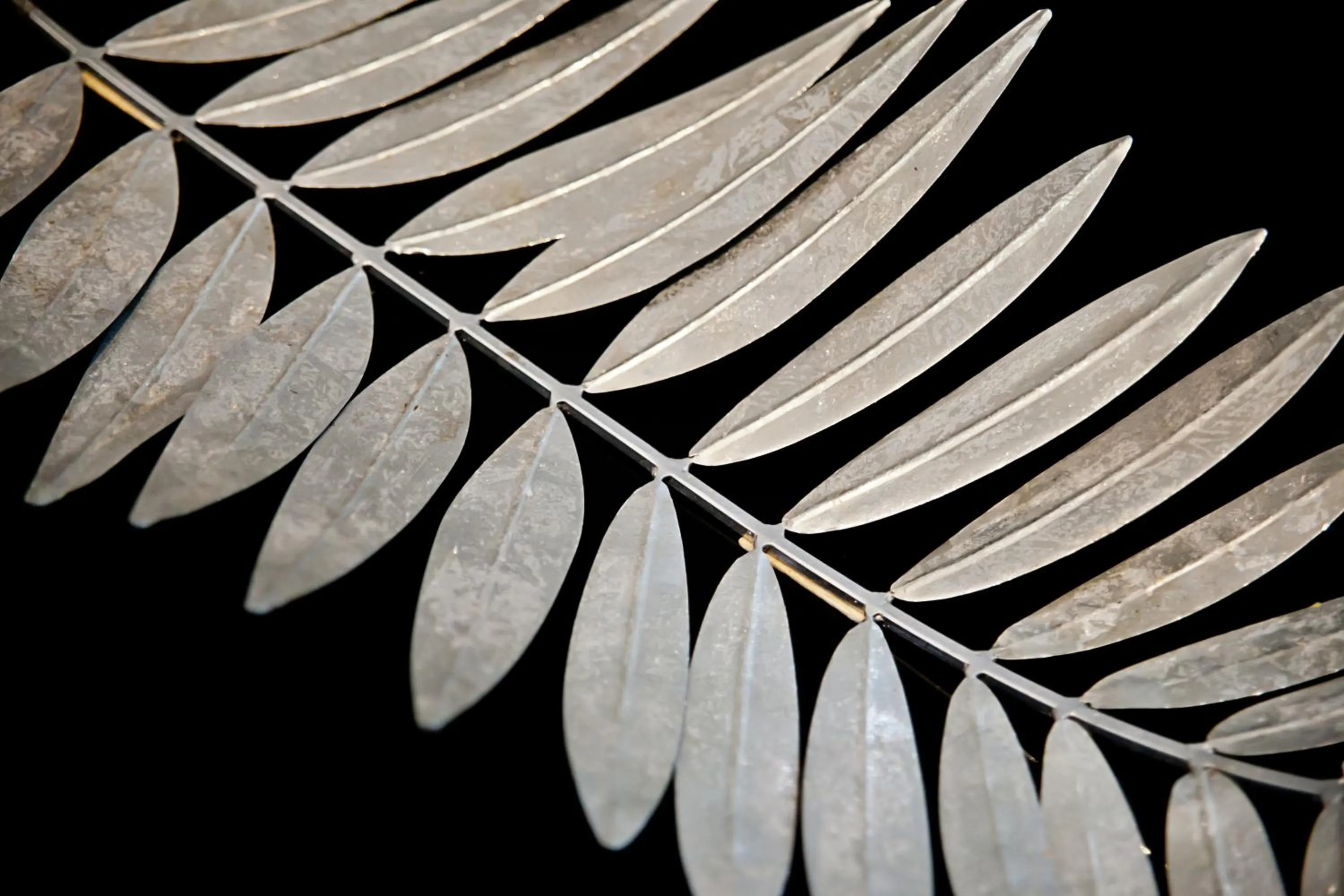 Other in Muà Boutique Bologna