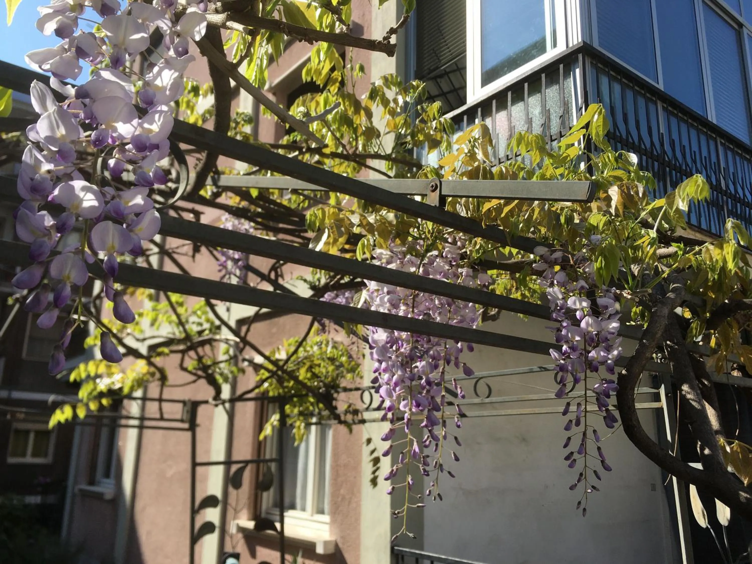 Garden in Il Broletto B&B