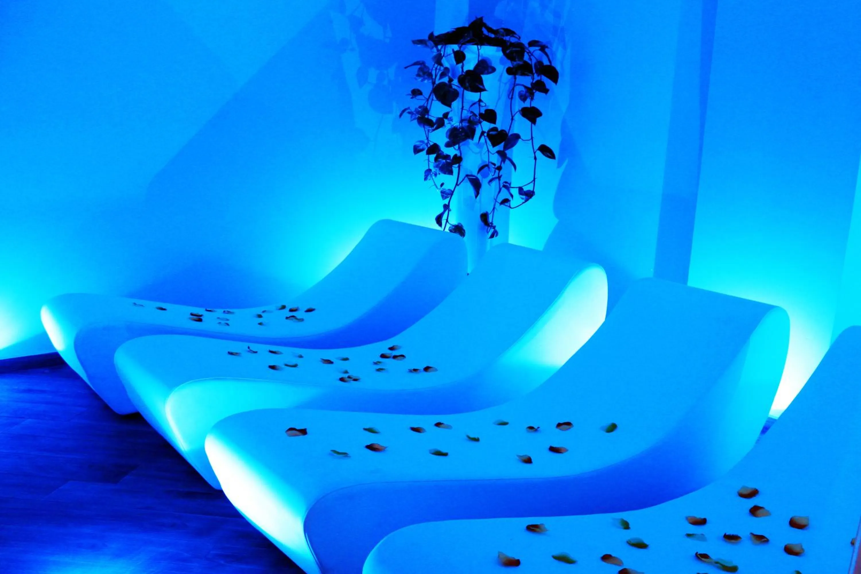 Spa and wellness centre/facilities in Relais Sans Soucis & Spa