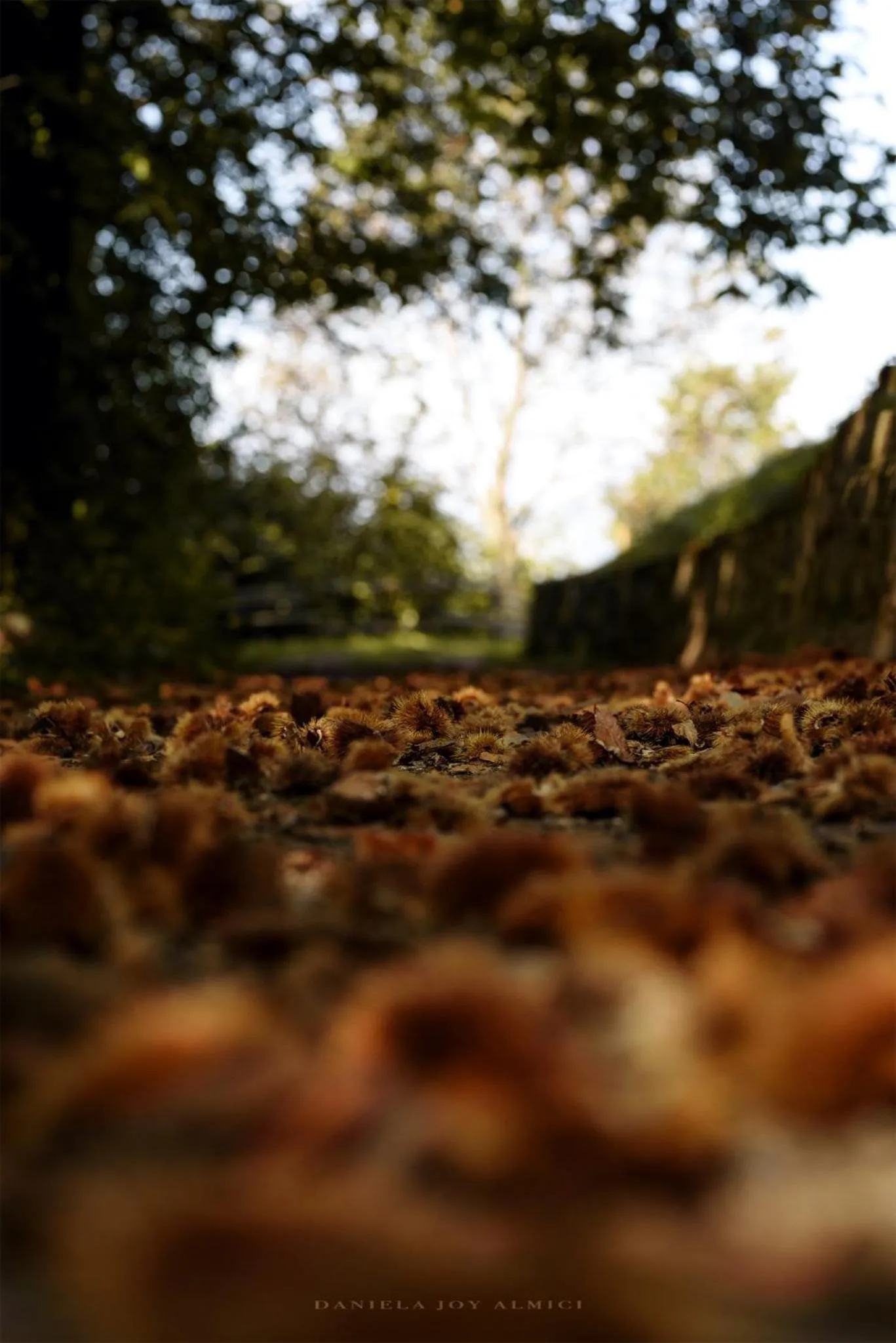 Natural landscape in Hotel Conca Verde