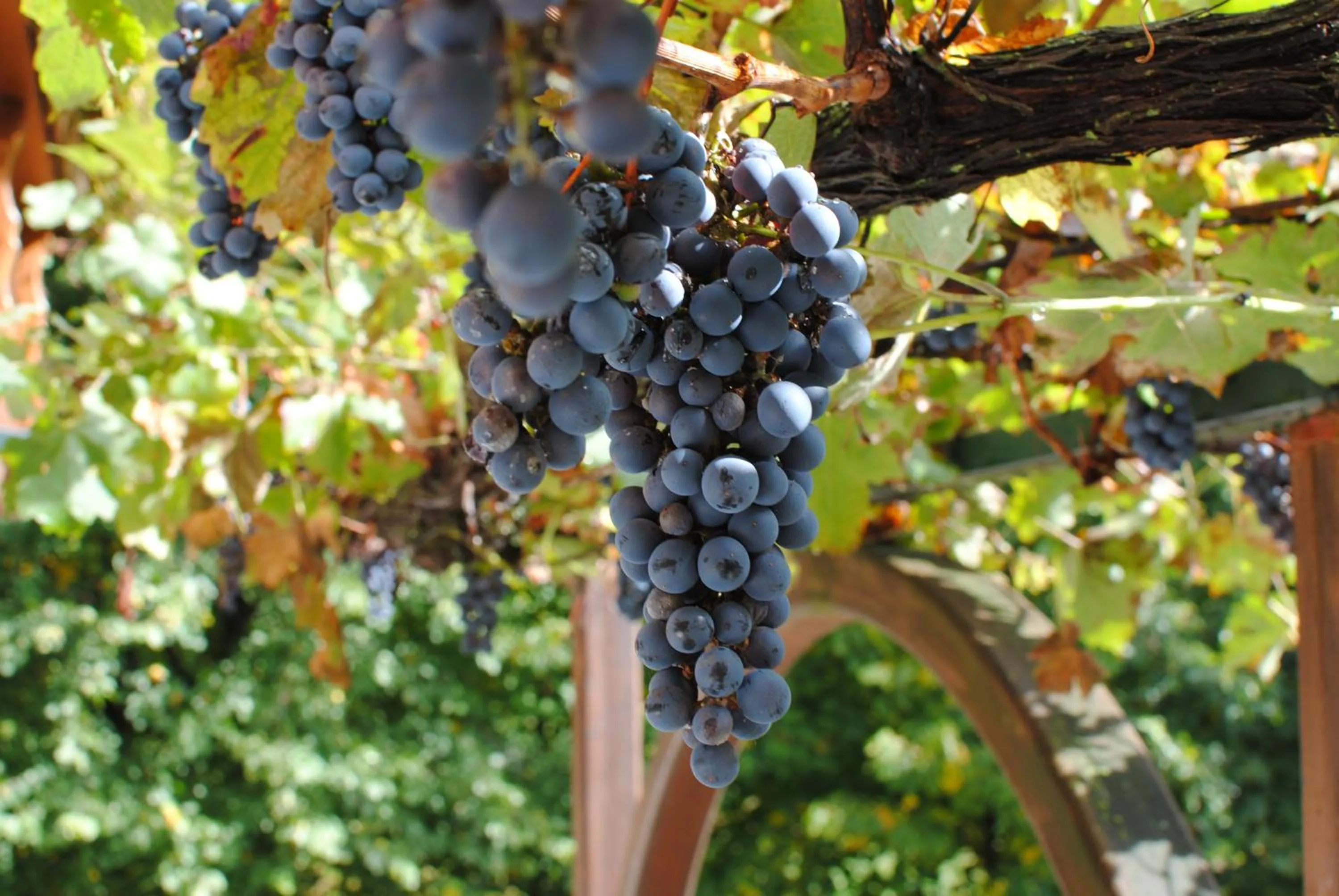 Autumn in Hotel Conca Verde