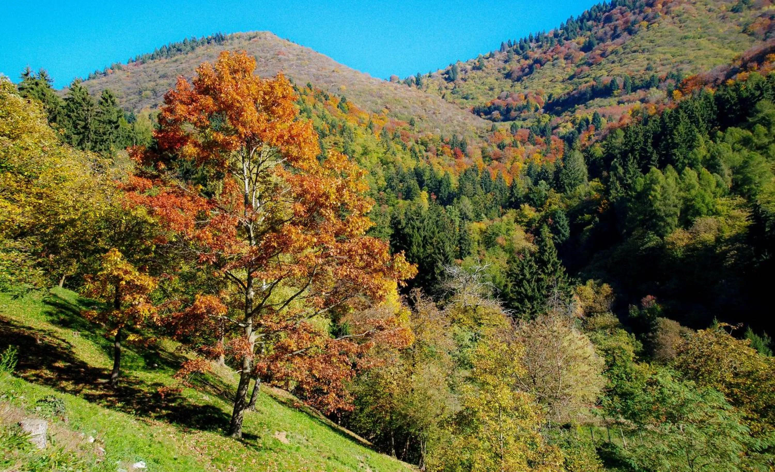 Natural landscape in Hotel Conca Verde