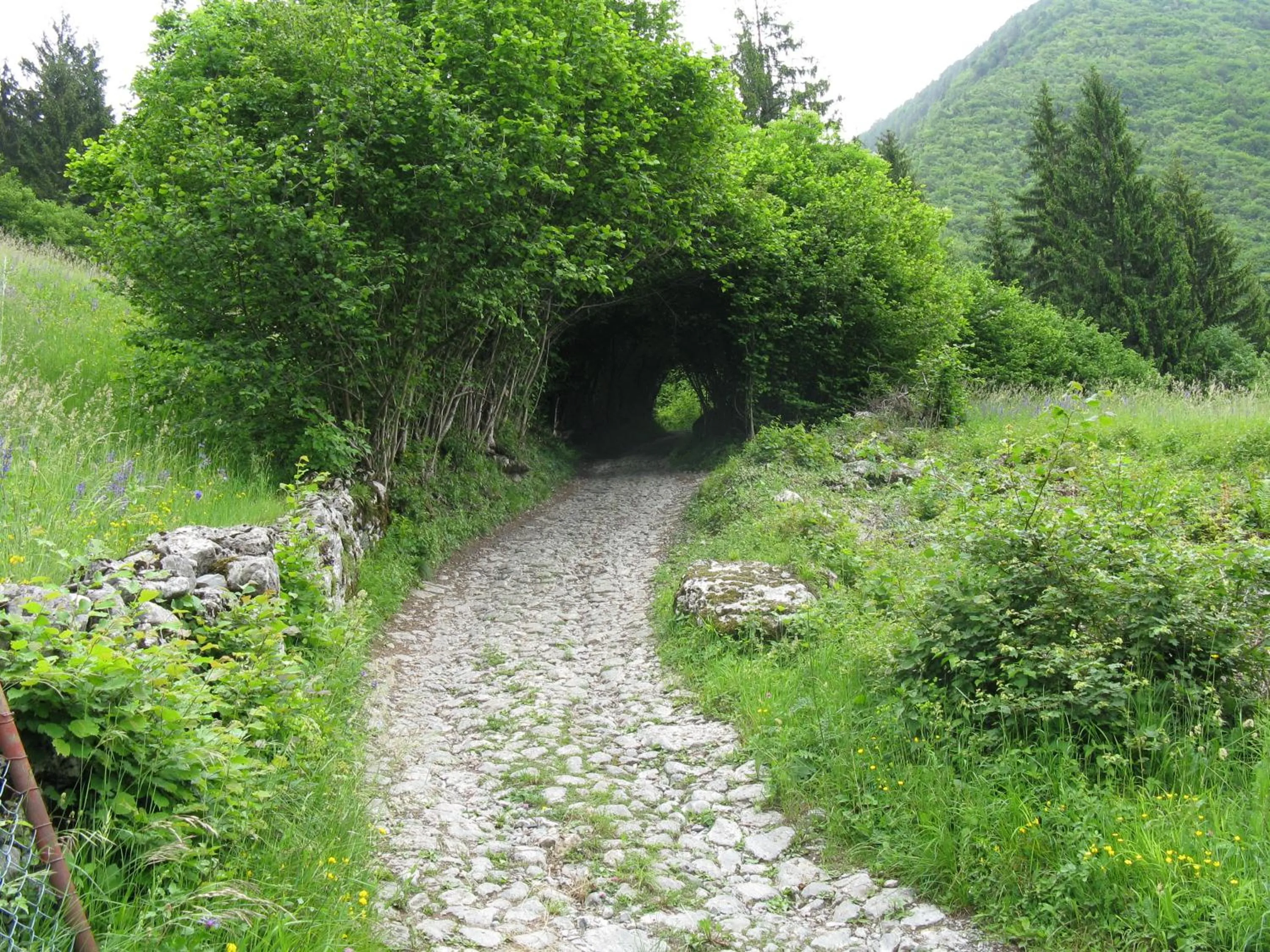 Area and facilities in Hotel Conca Verde