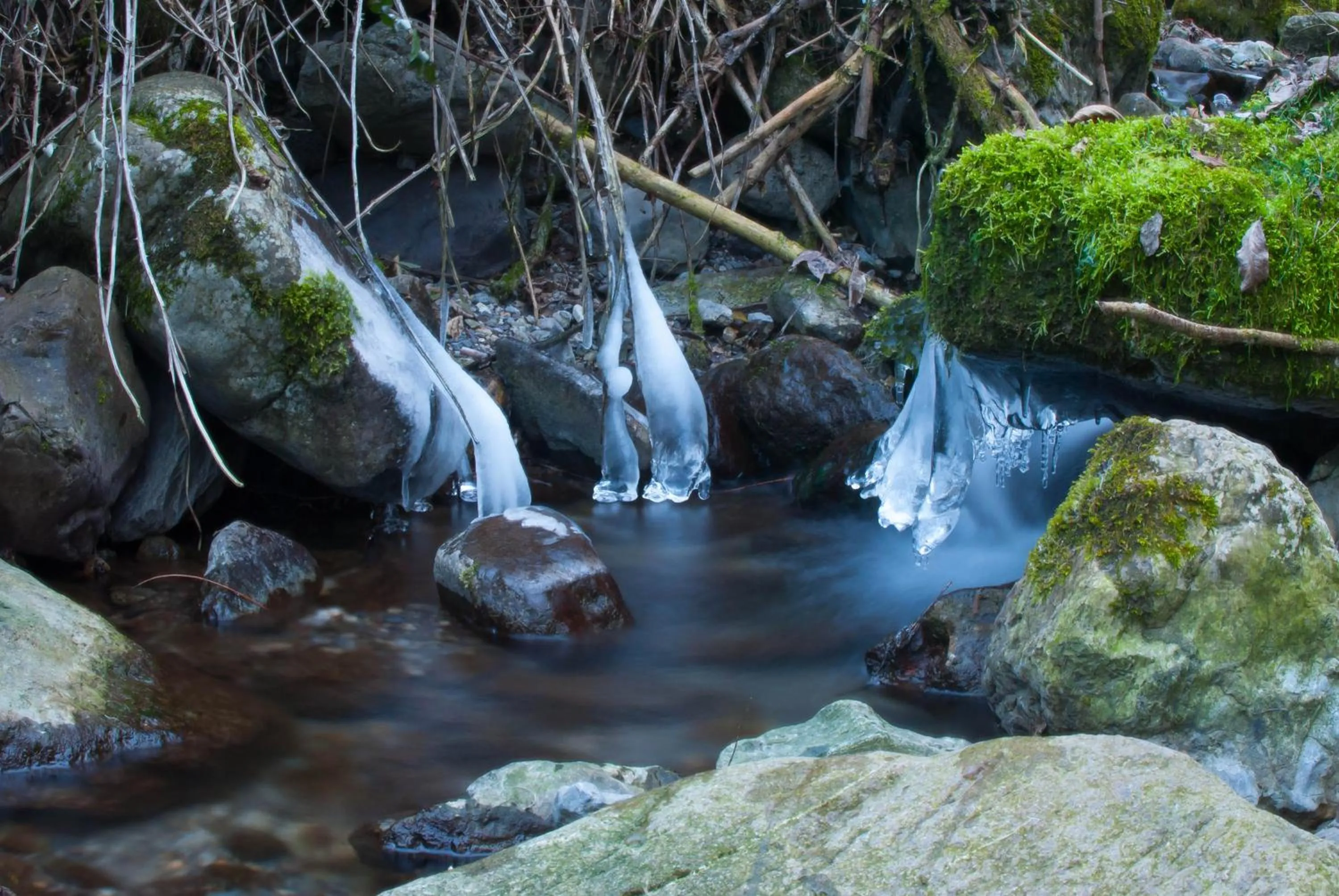 Natural landscape in Hotel Conca Verde