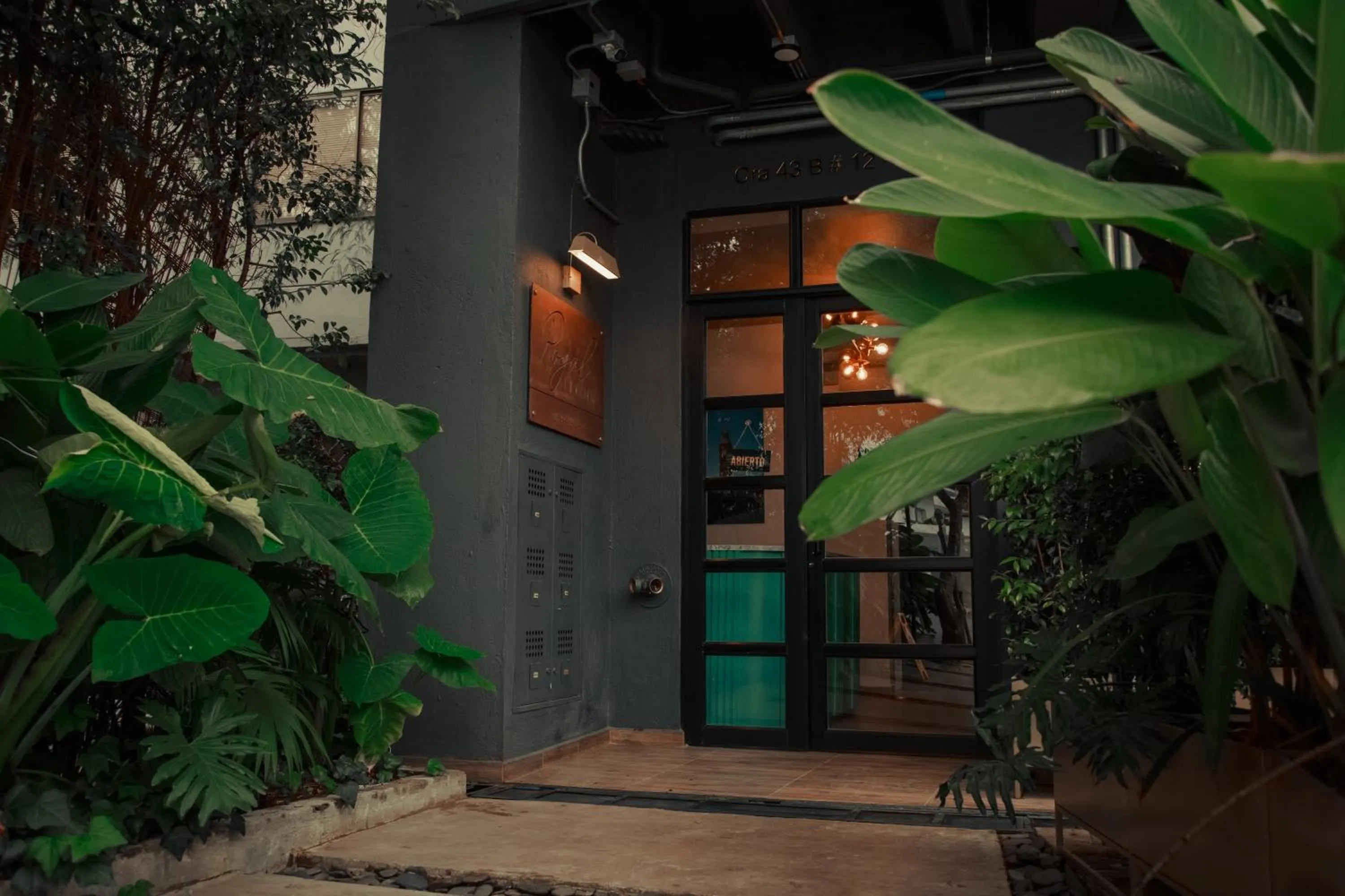 Property building in Royal Living Poblado