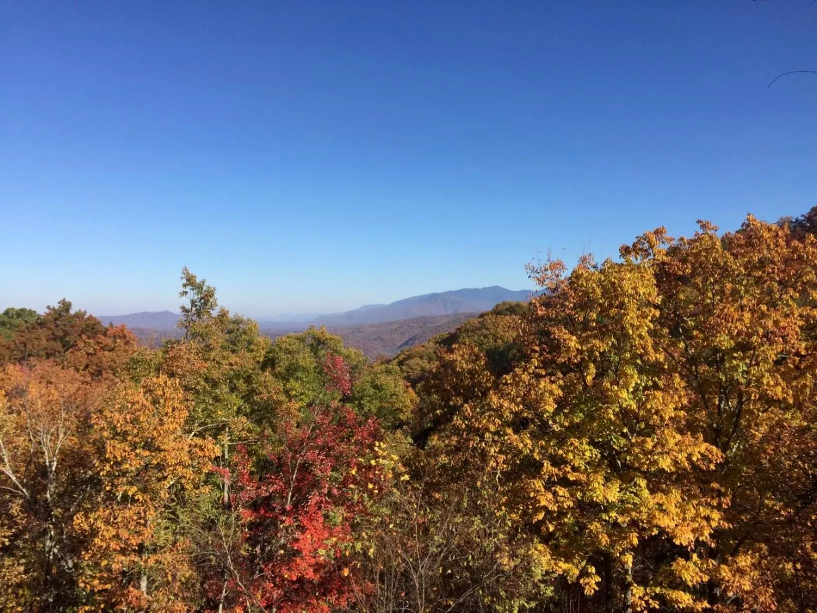 View (from property/room) in The Edelweiss Estate - Mountain Views