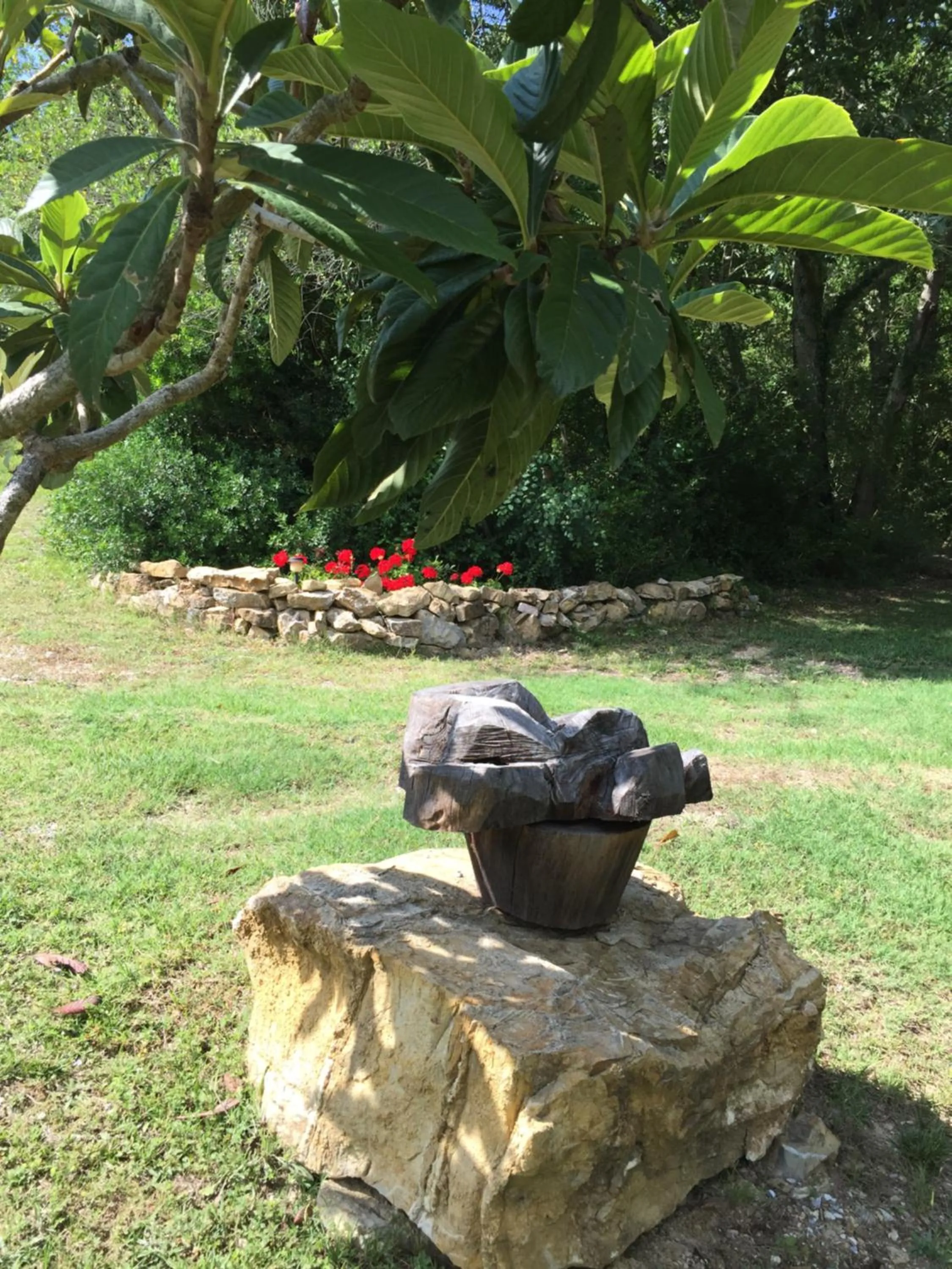 Garden in Campo Di Carlo