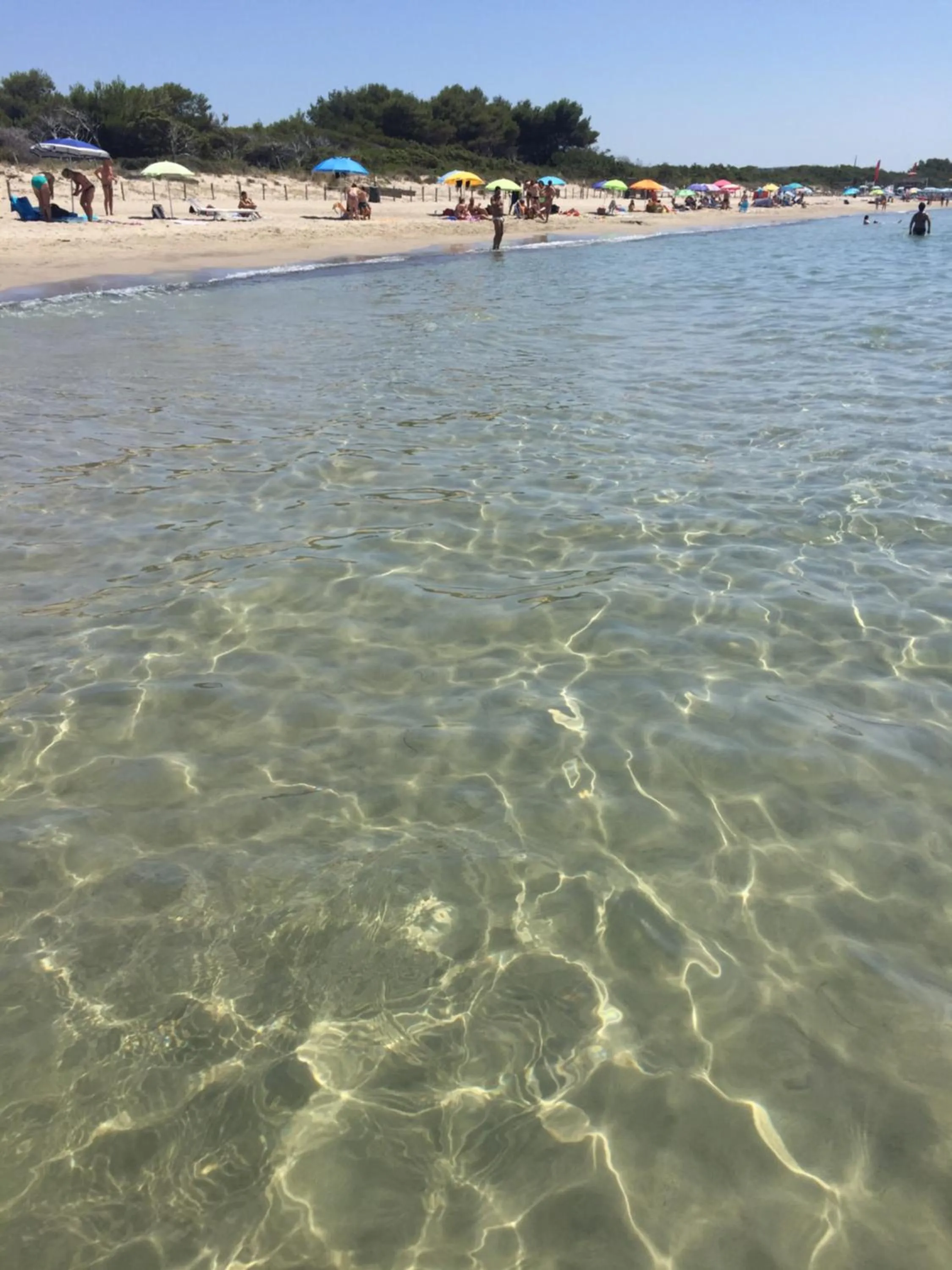 Beach in Campo Di Carlo