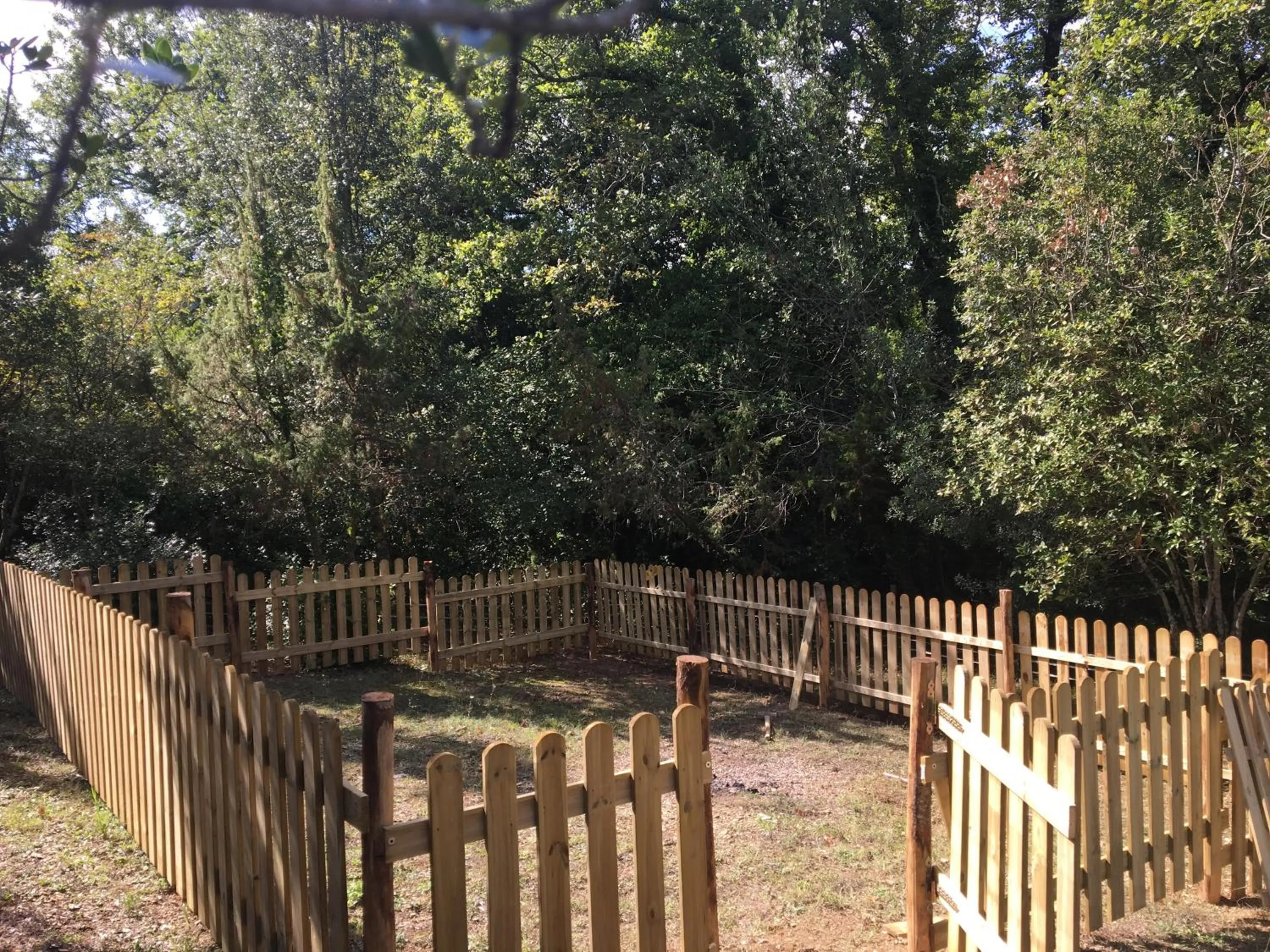 Pets in Campo Di Carlo