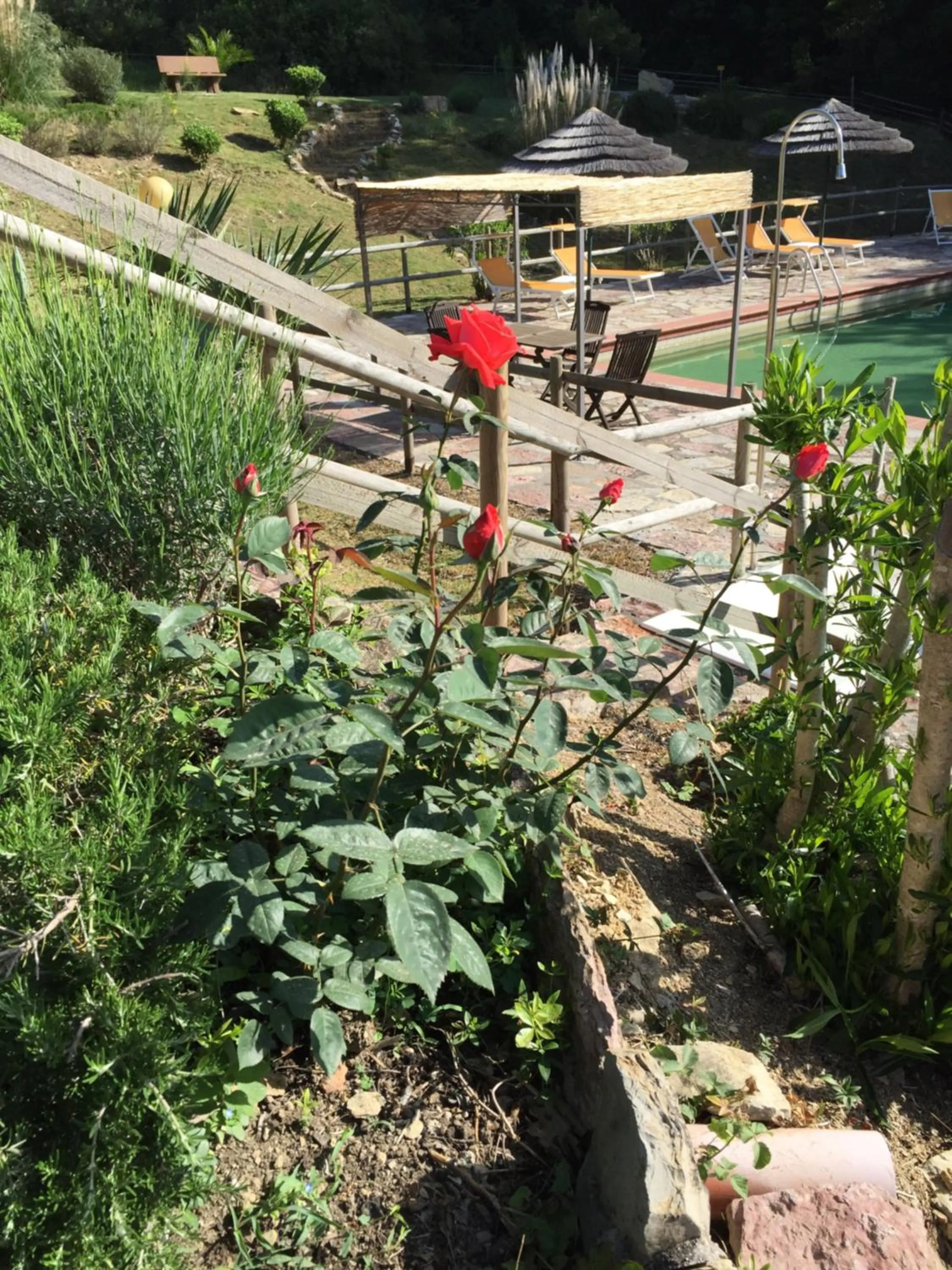 On site in Campo Di Carlo