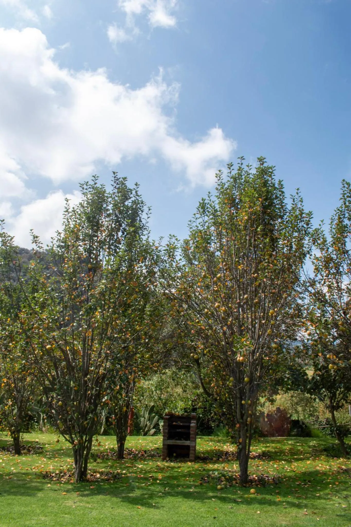 Natural landscape in Finca Marix, Villa del Carbón