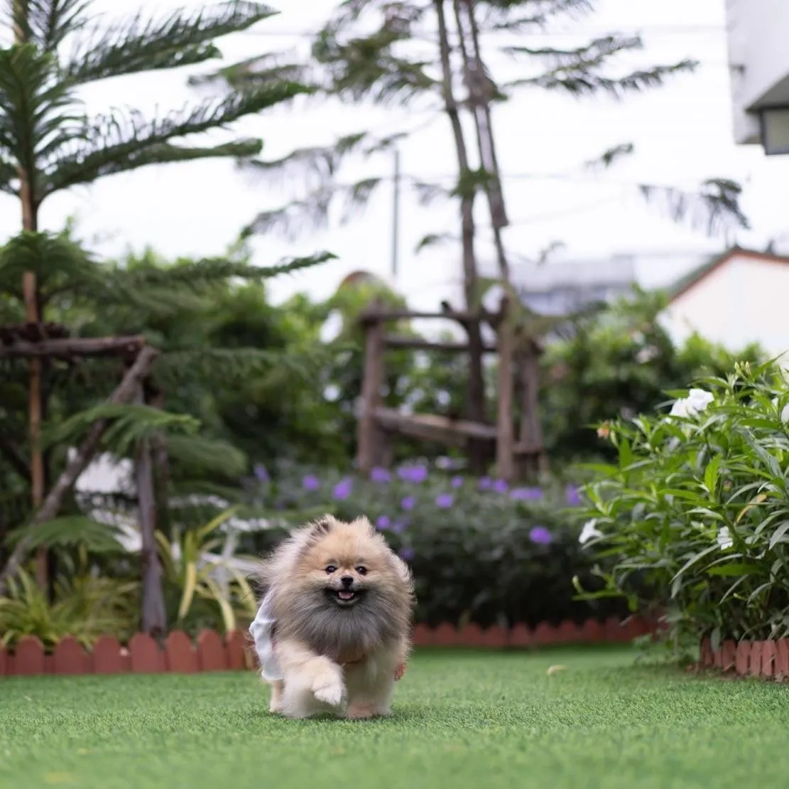 pet friendly in Christella Hotel Laemchabang