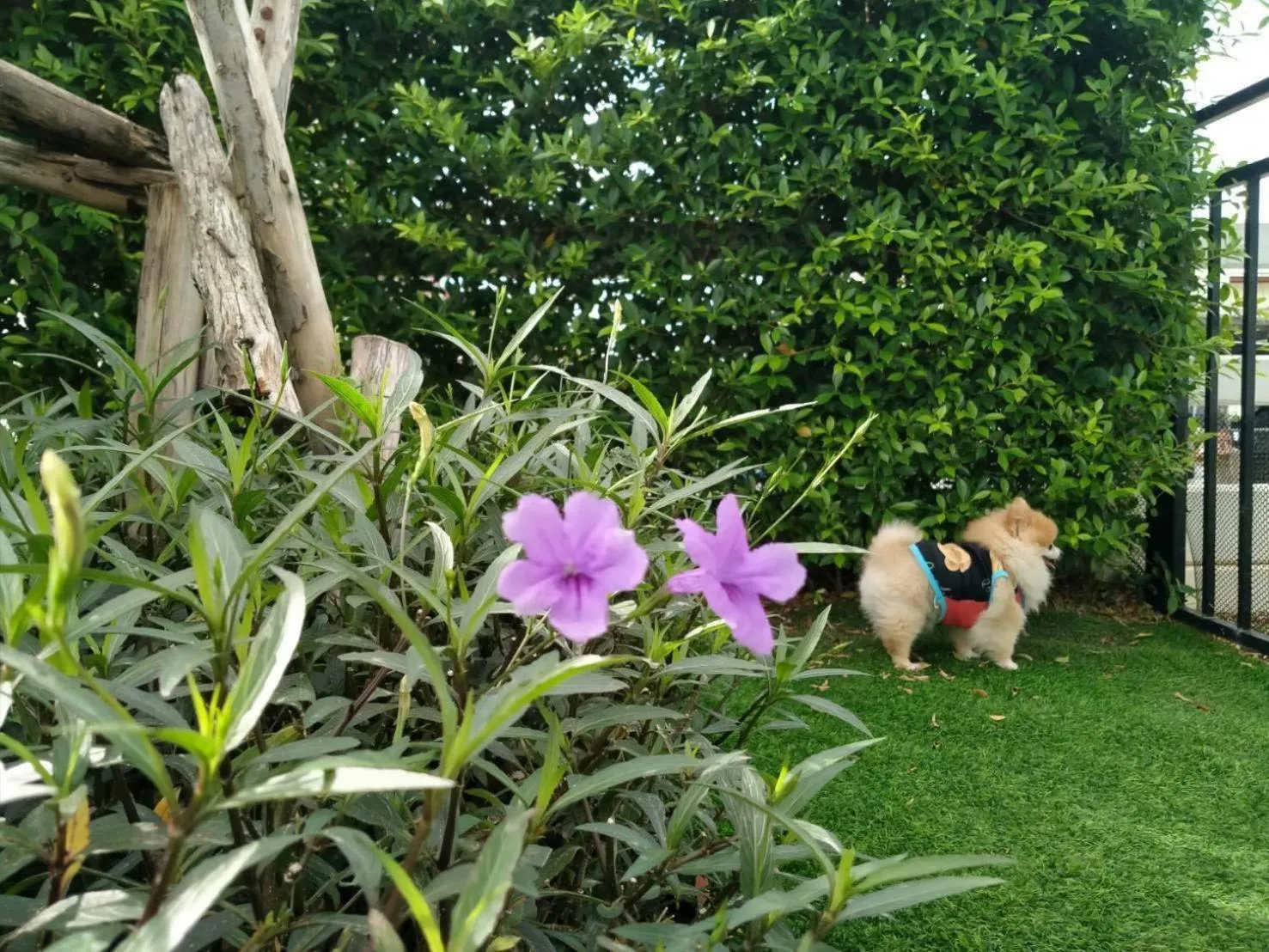 Christella Hotel Laemchabang