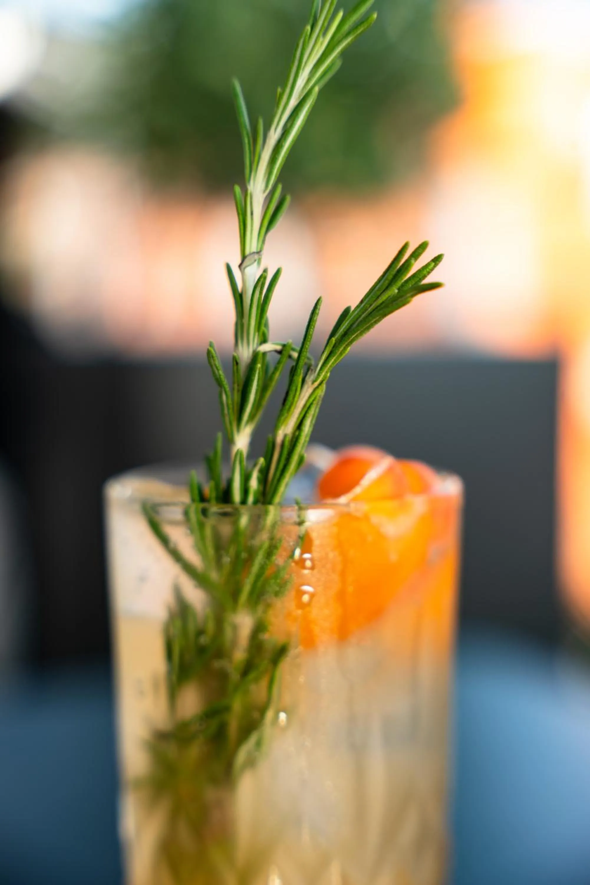 Lounge or bar in Residence Inn by Marriott Strasbourg