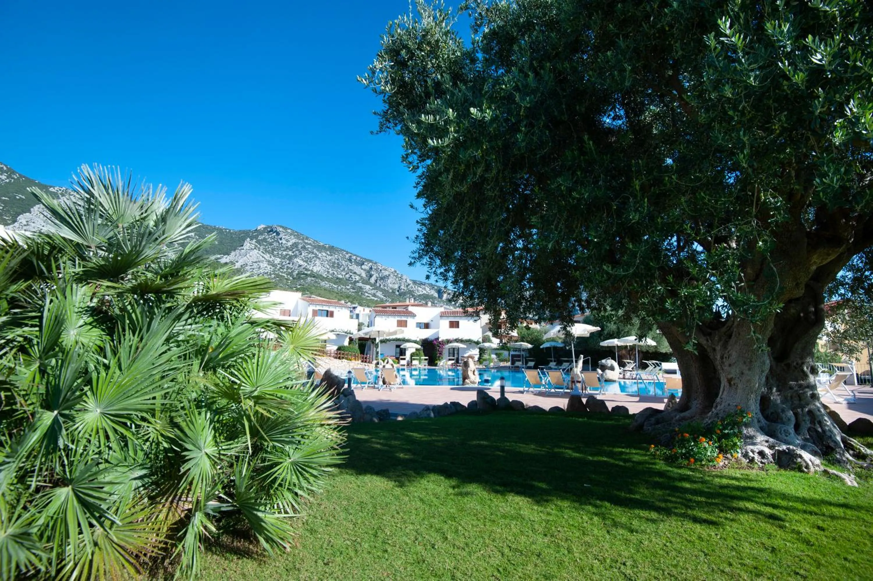 Garden in Hotel Resort Nuraghe Arvu