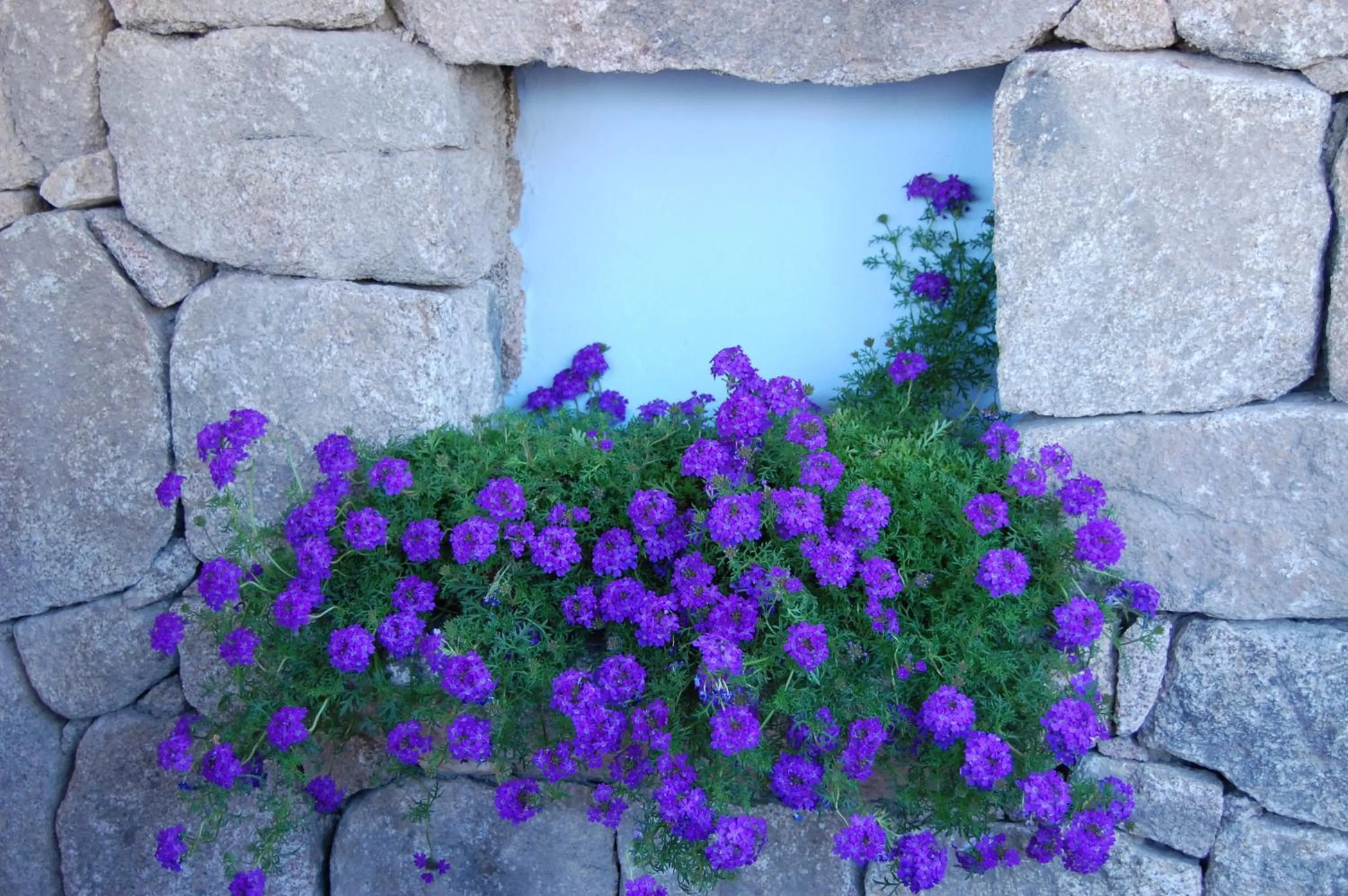 Garden in Hotel Resort Nuraghe Arvu