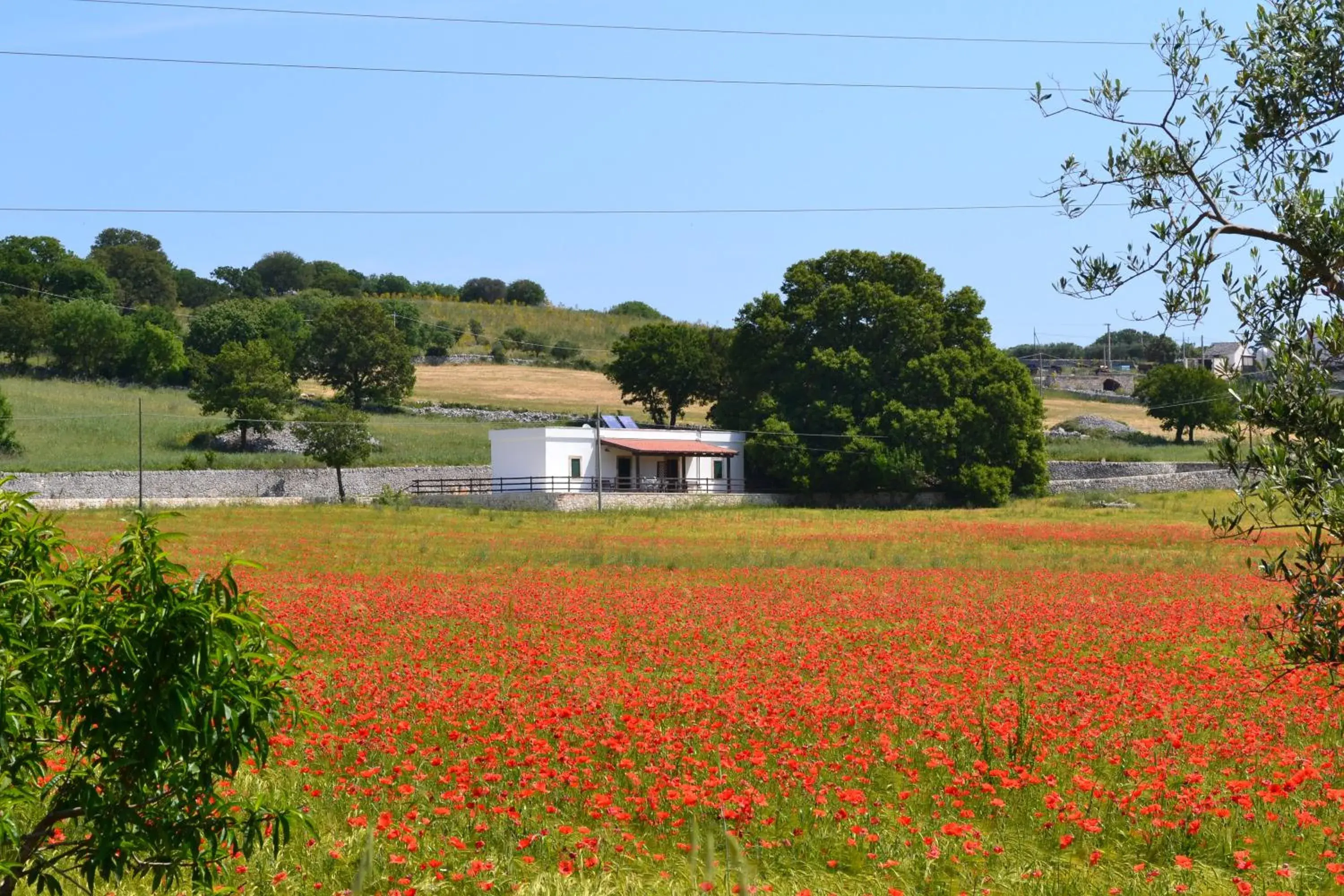 Double Room with Patio in Masseria Torricella Double Room with Patio in Masseria Torricella