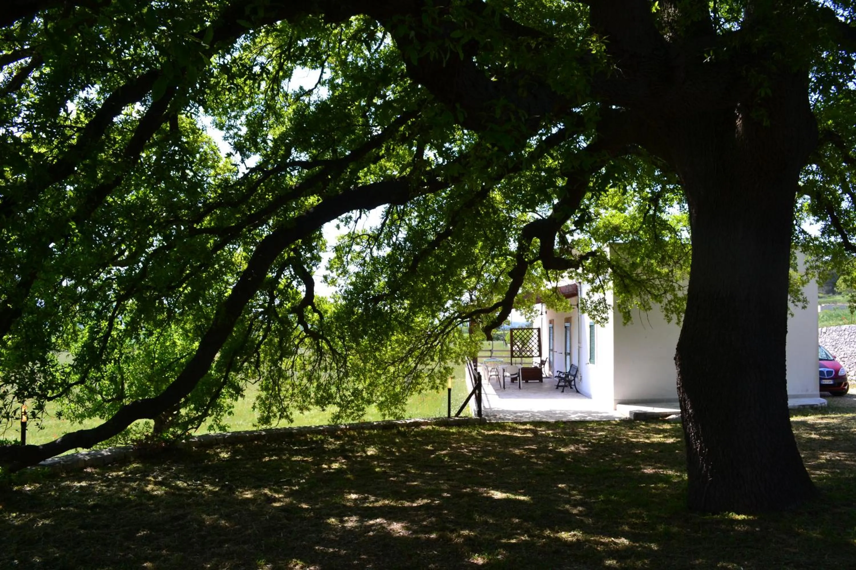 Garden in Masseria Torricella