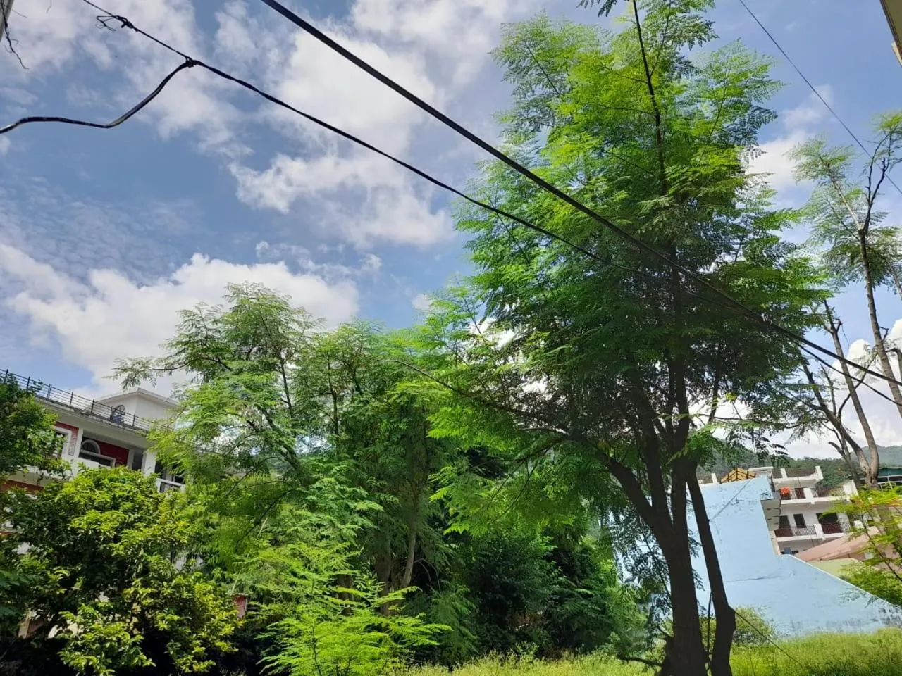 City view in Hotel Krishna Rishikesh