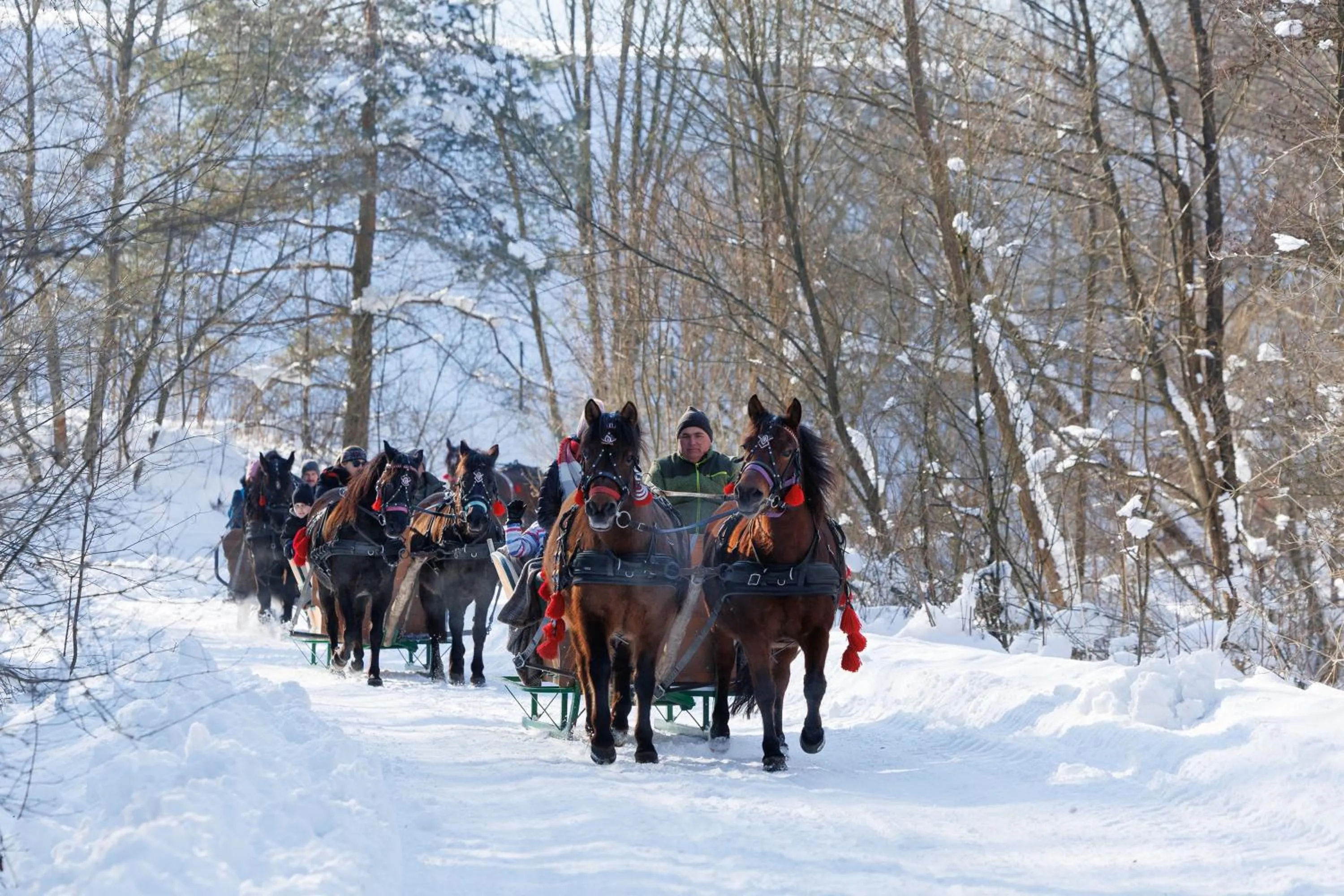 Winter in Końska Dolina