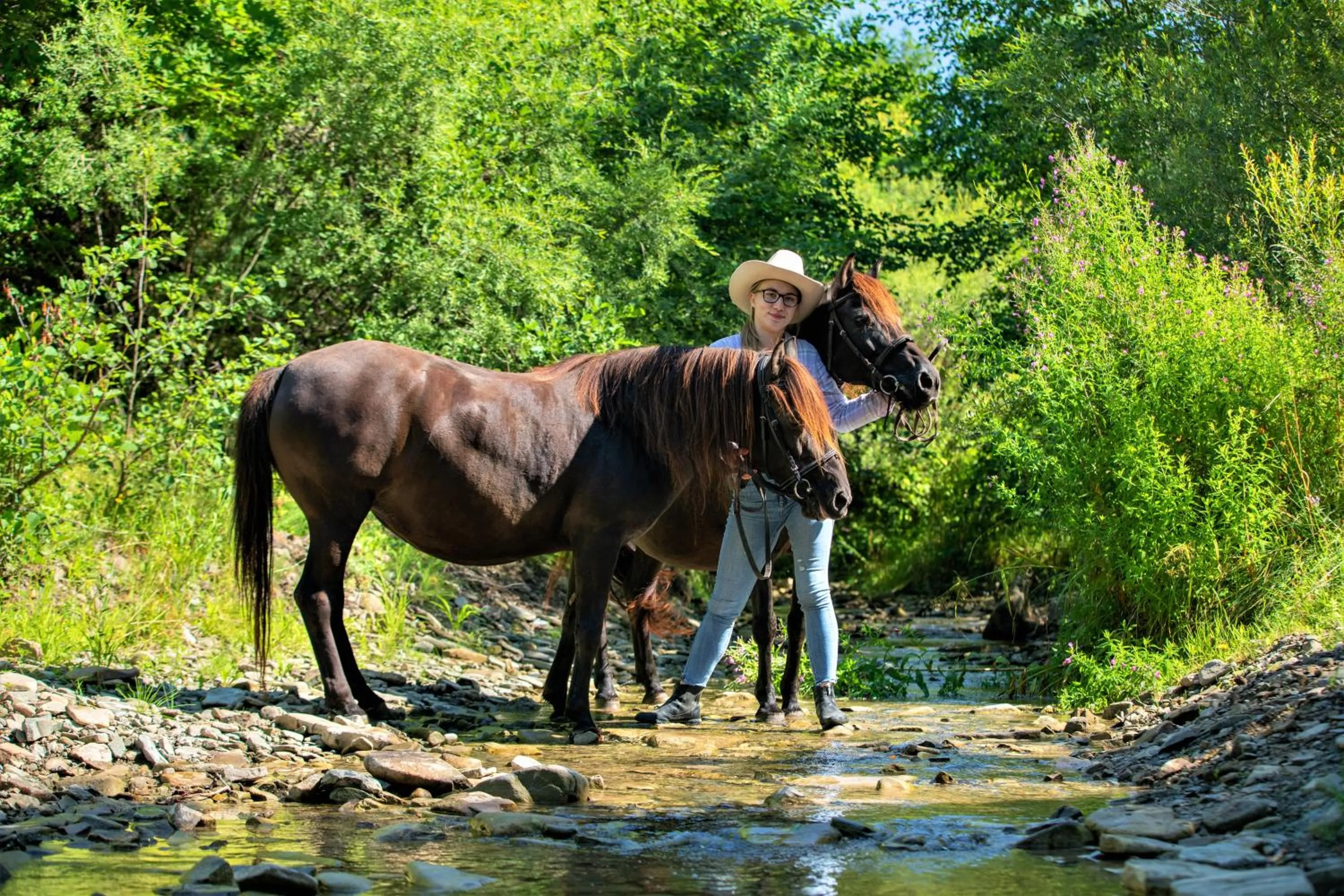 Natural landscape in Końska Dolina