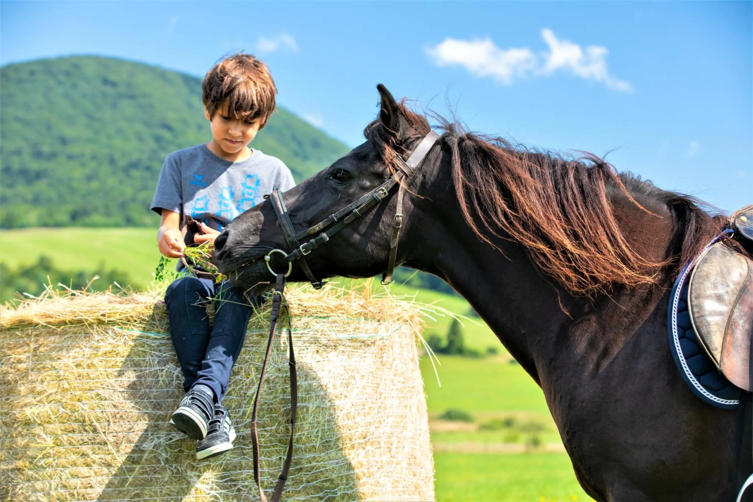Natural landscape in Końska Dolina