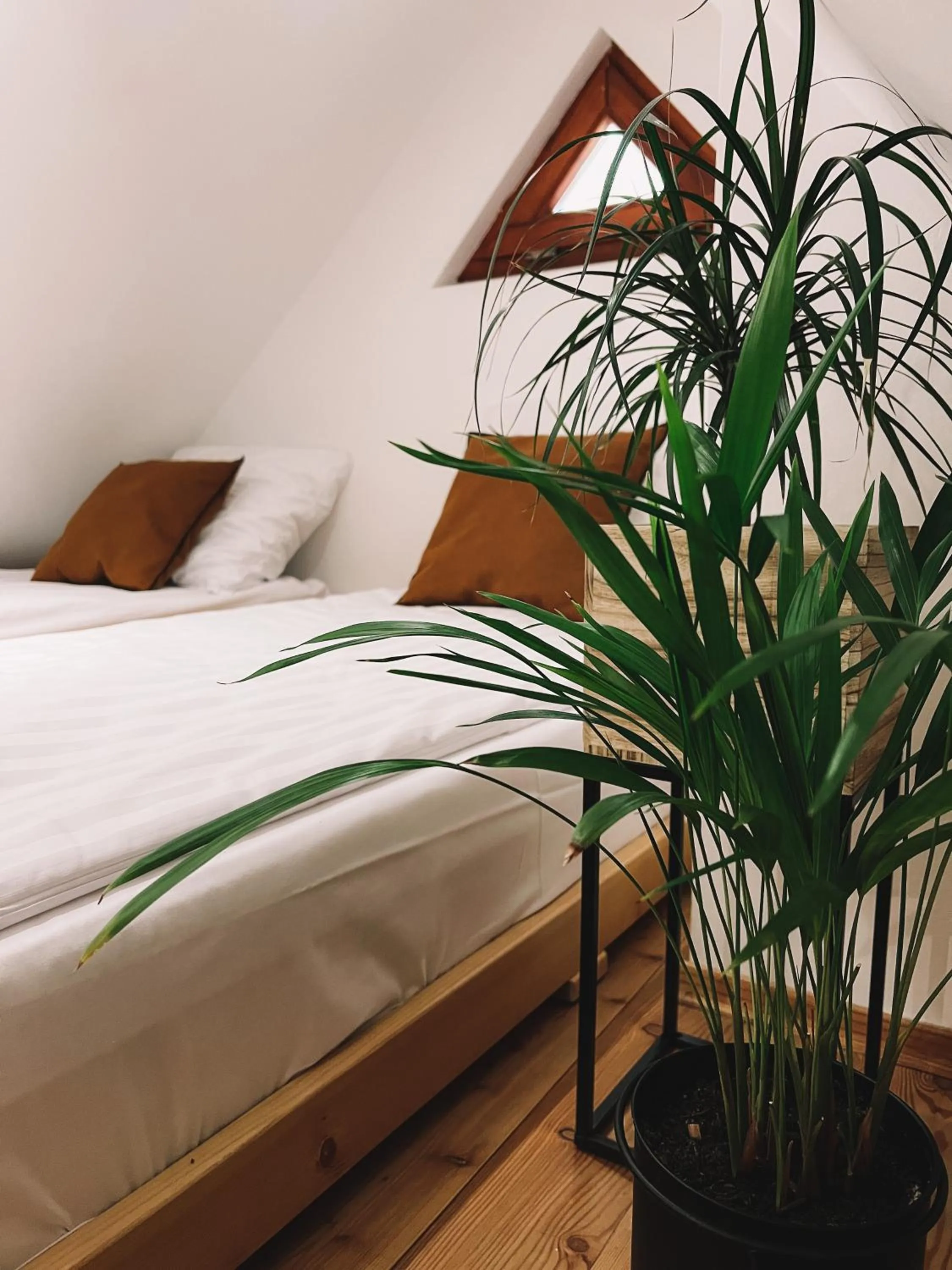 Bed in Końska Dolina