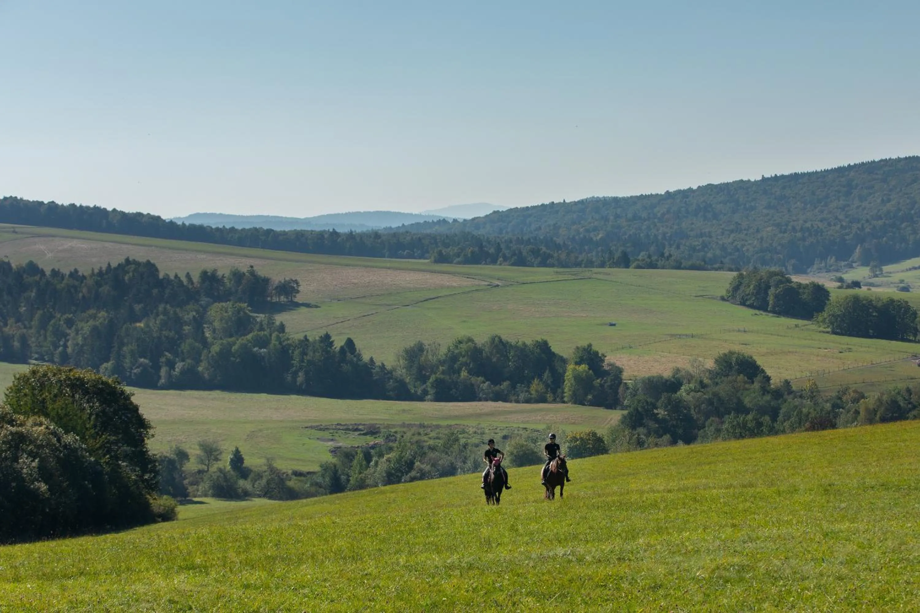 View (from property/room) in Końska Dolina