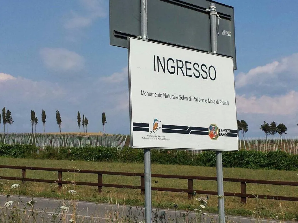 Summer in L'antico Granaio