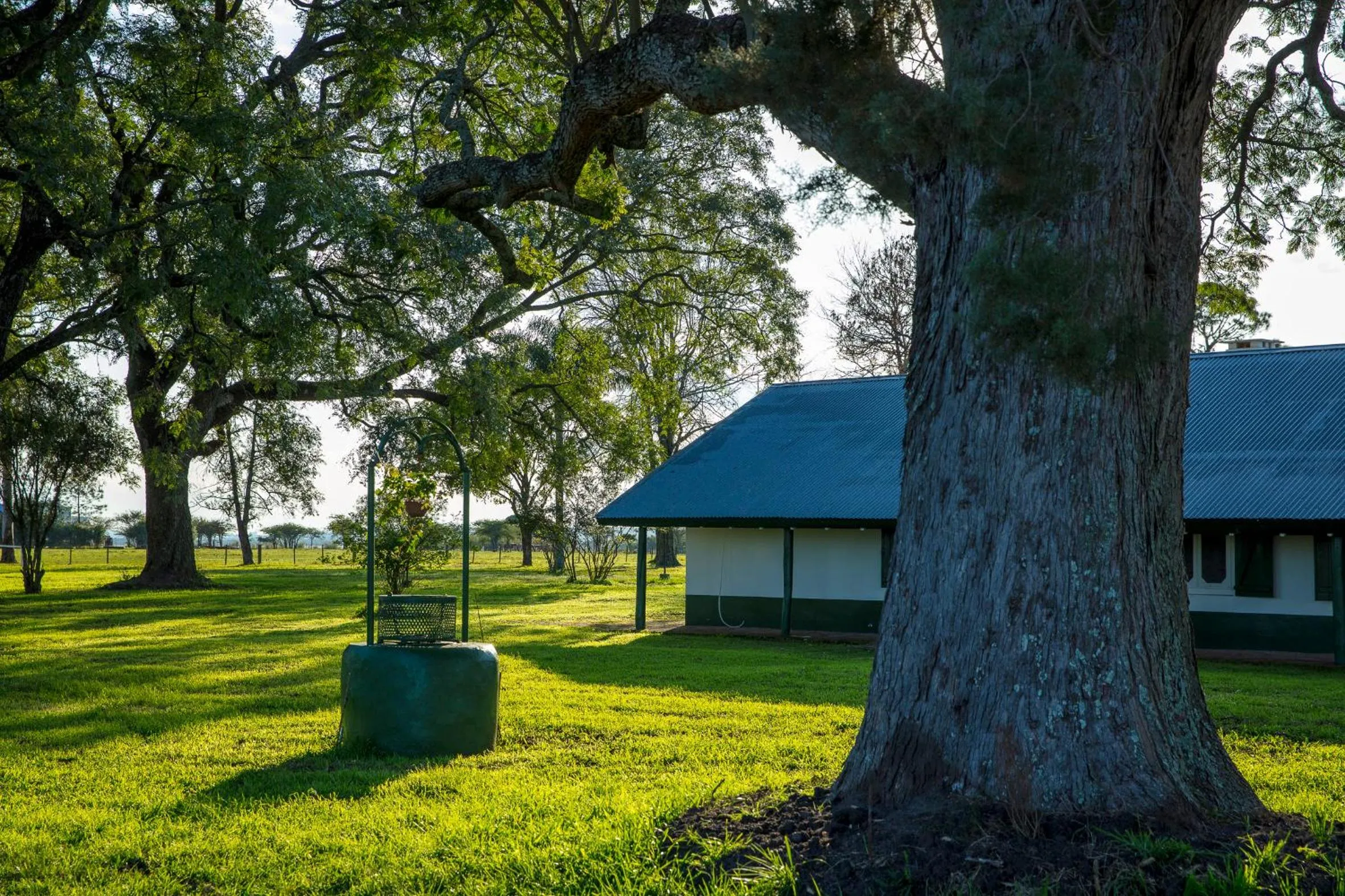 Garden in Estancia San Agustin