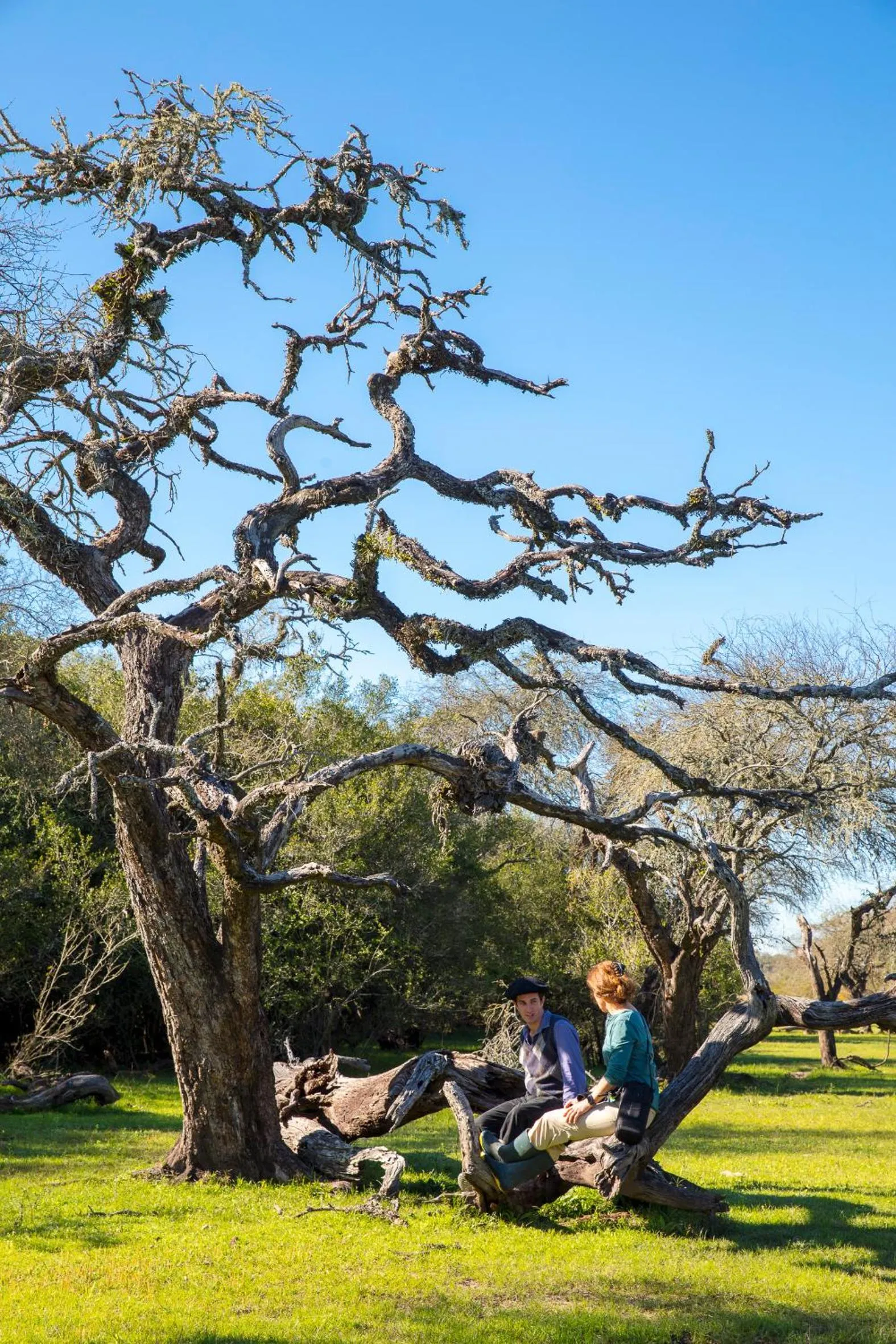 Day in Estancia San Agustin