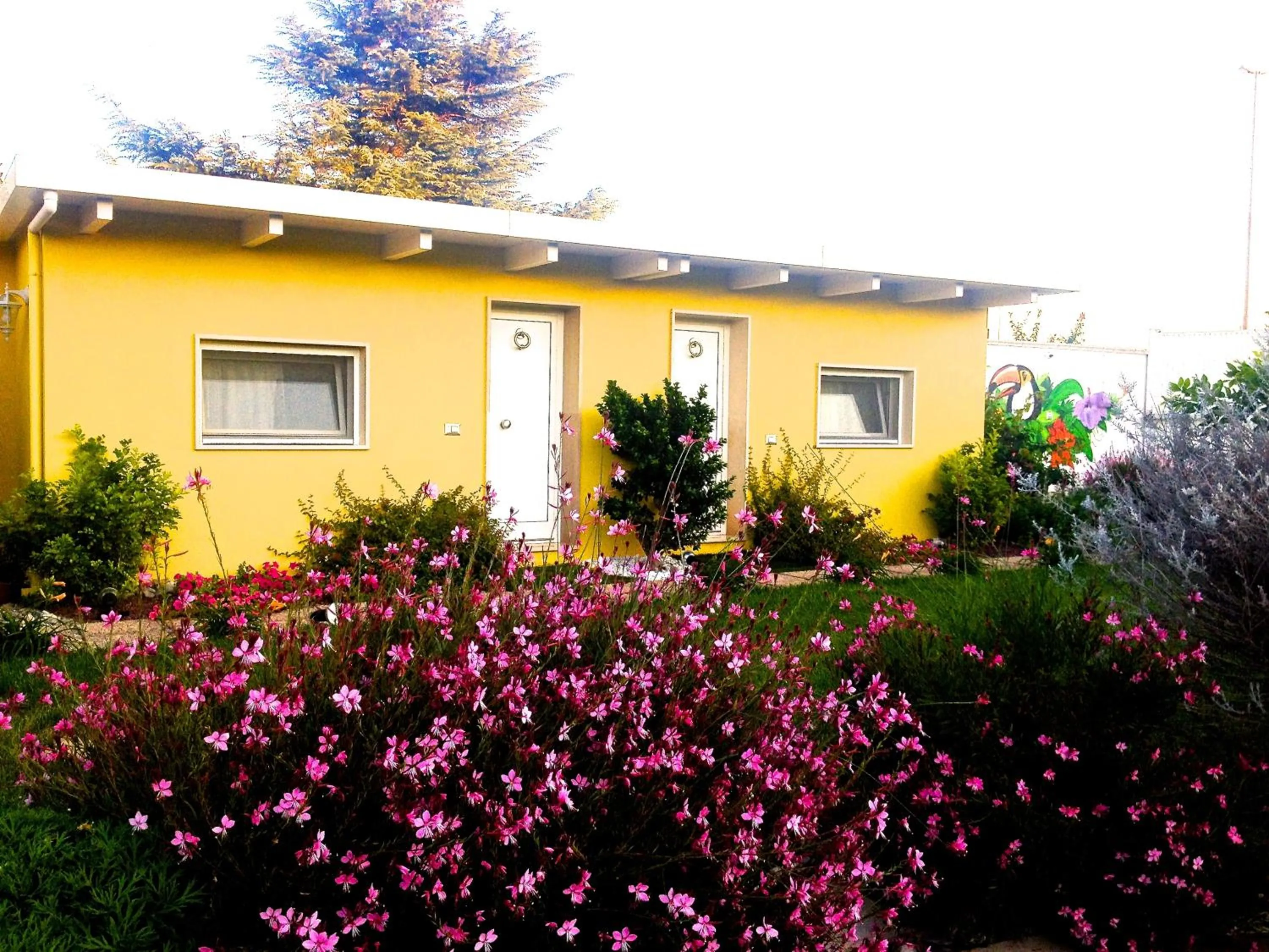 Property building in La Casa