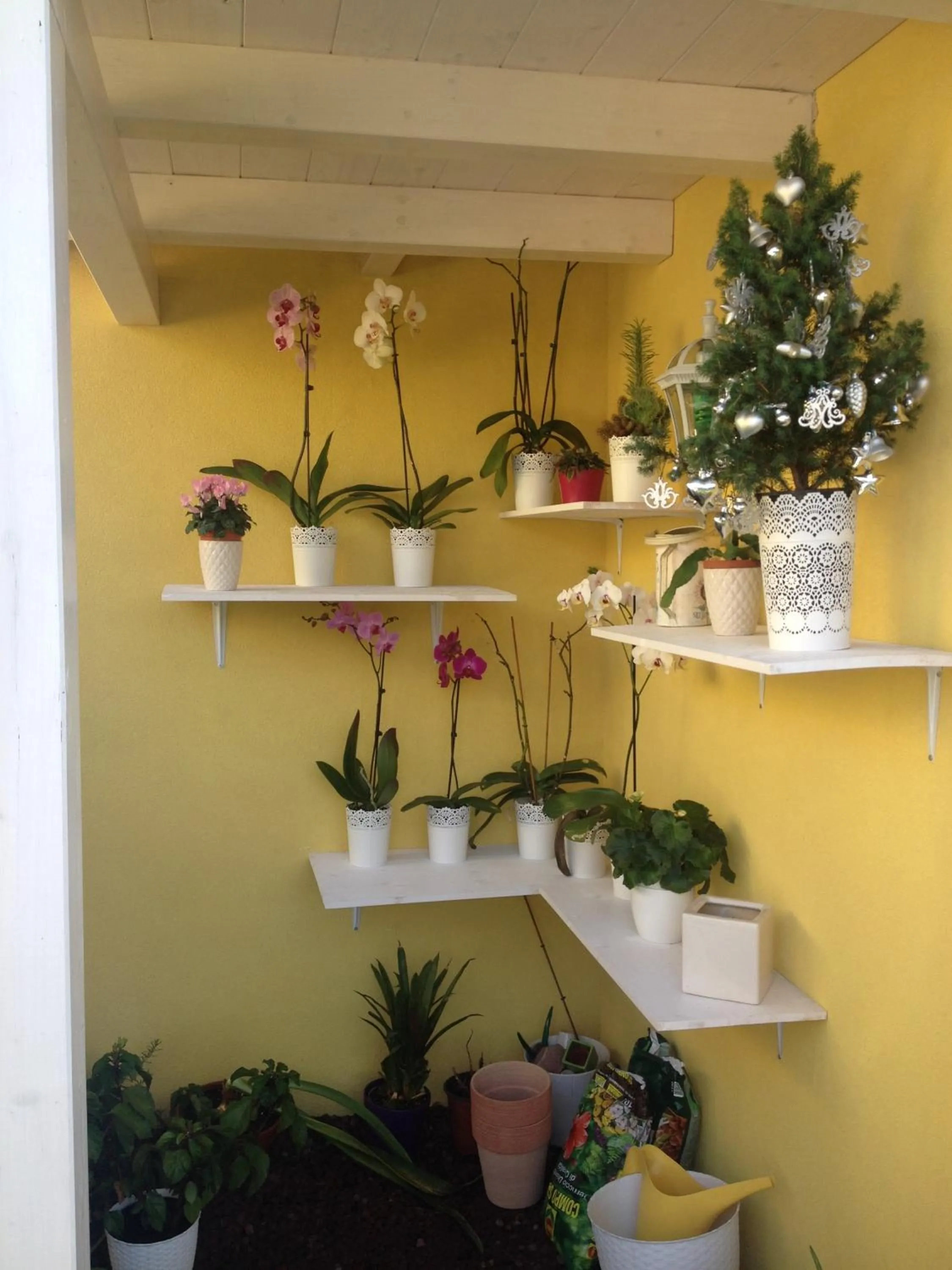 Decorative detail in La Casa