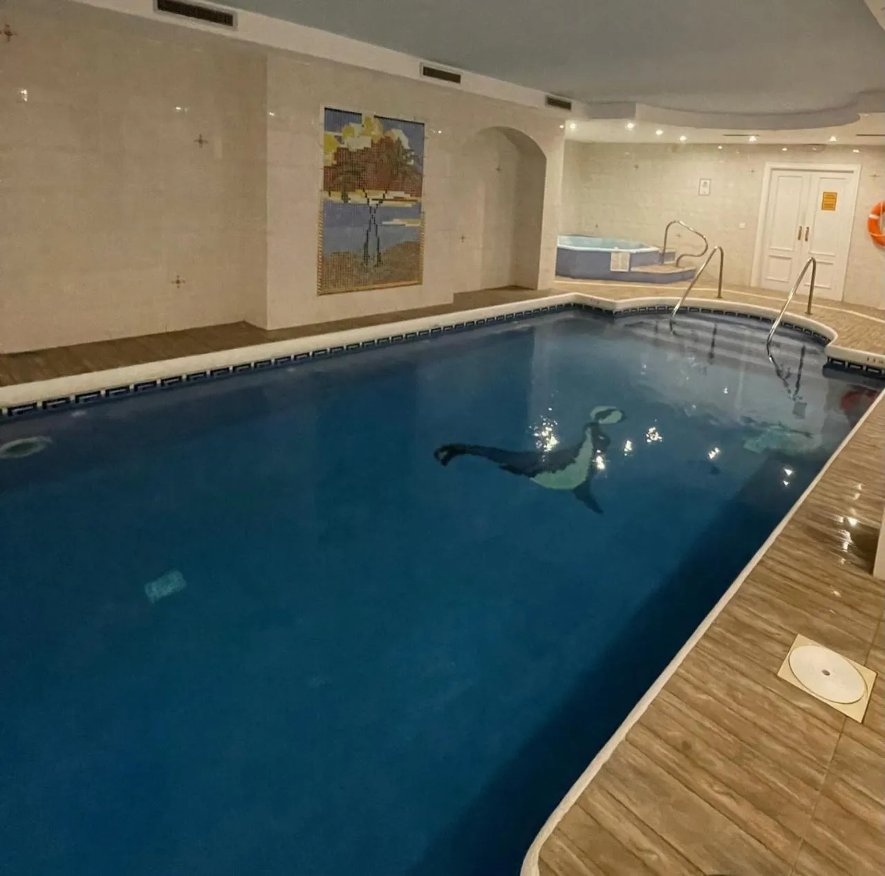 Swimming pool in Playa Real