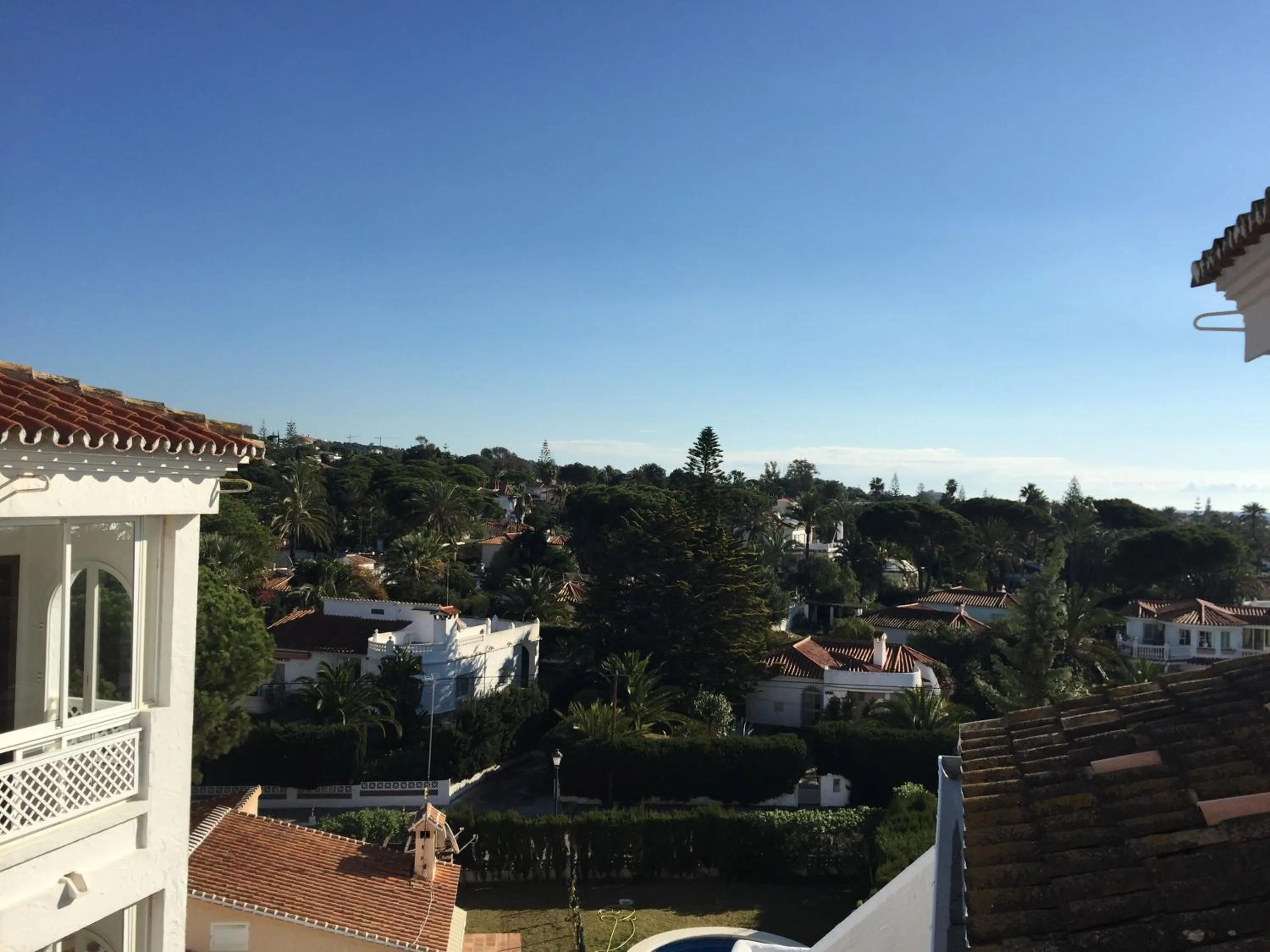 Garden view in Playa Real