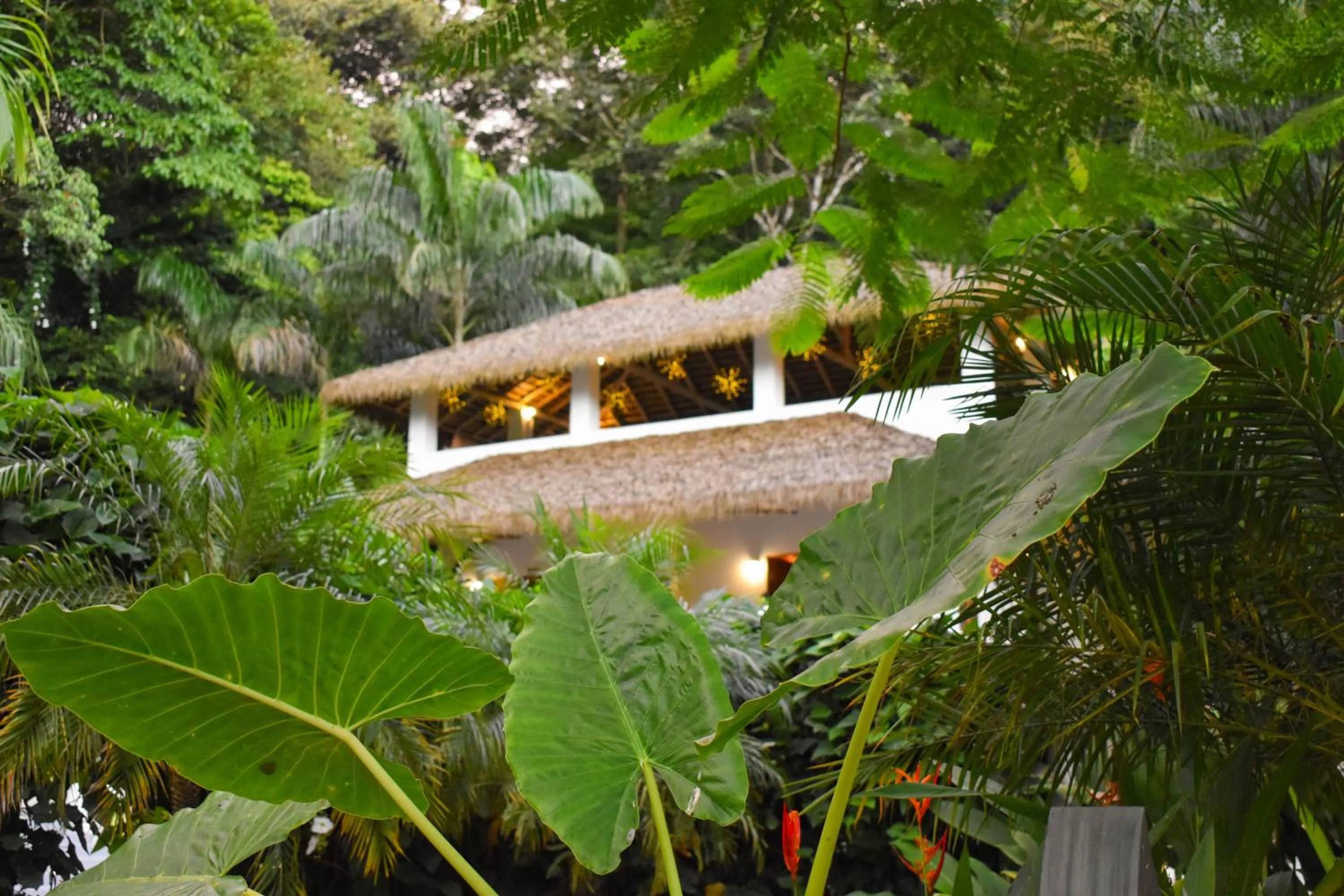 Property building in Vayu Retreat Villas