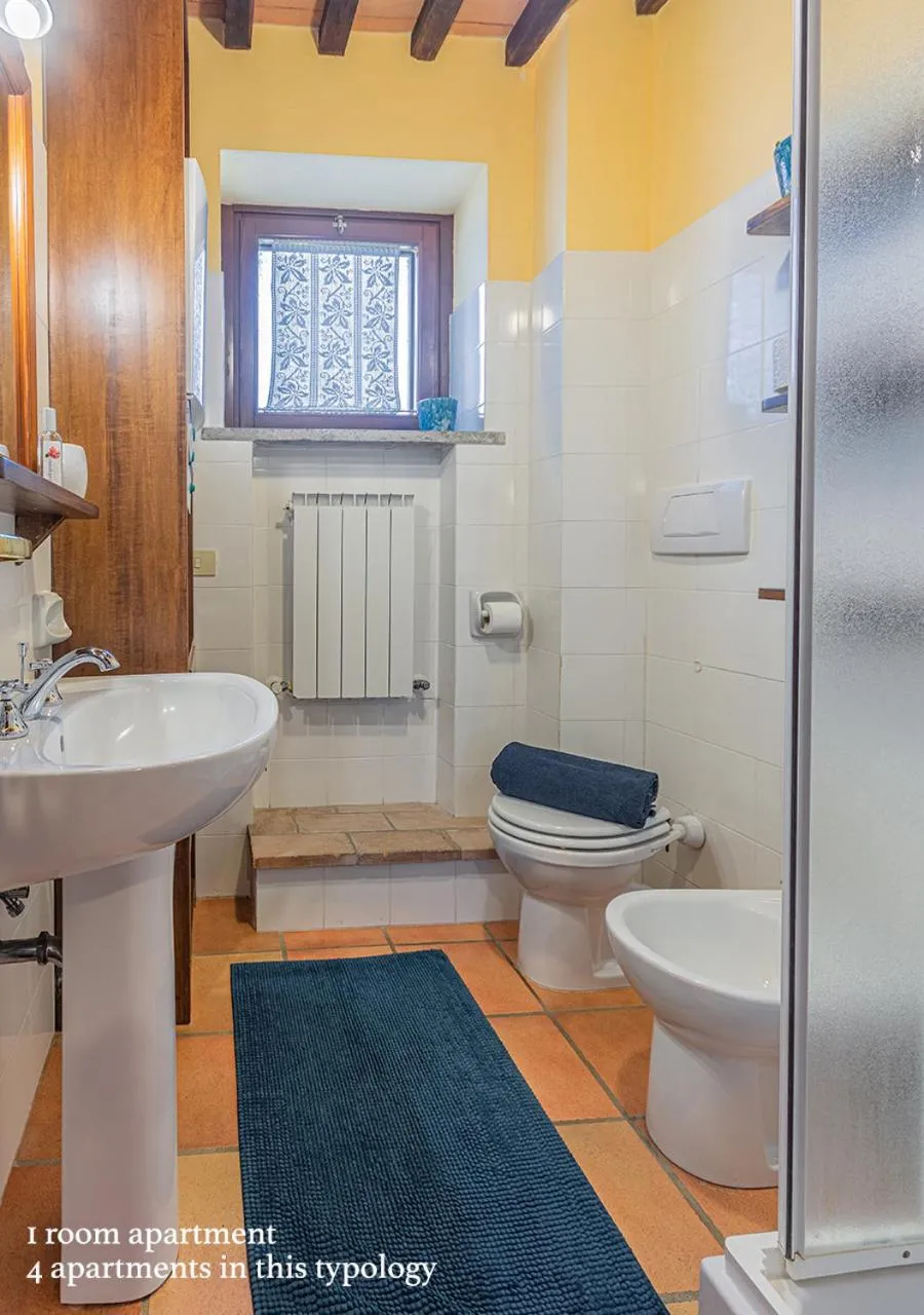 One-Bedroom Apartment in Borgo Solario