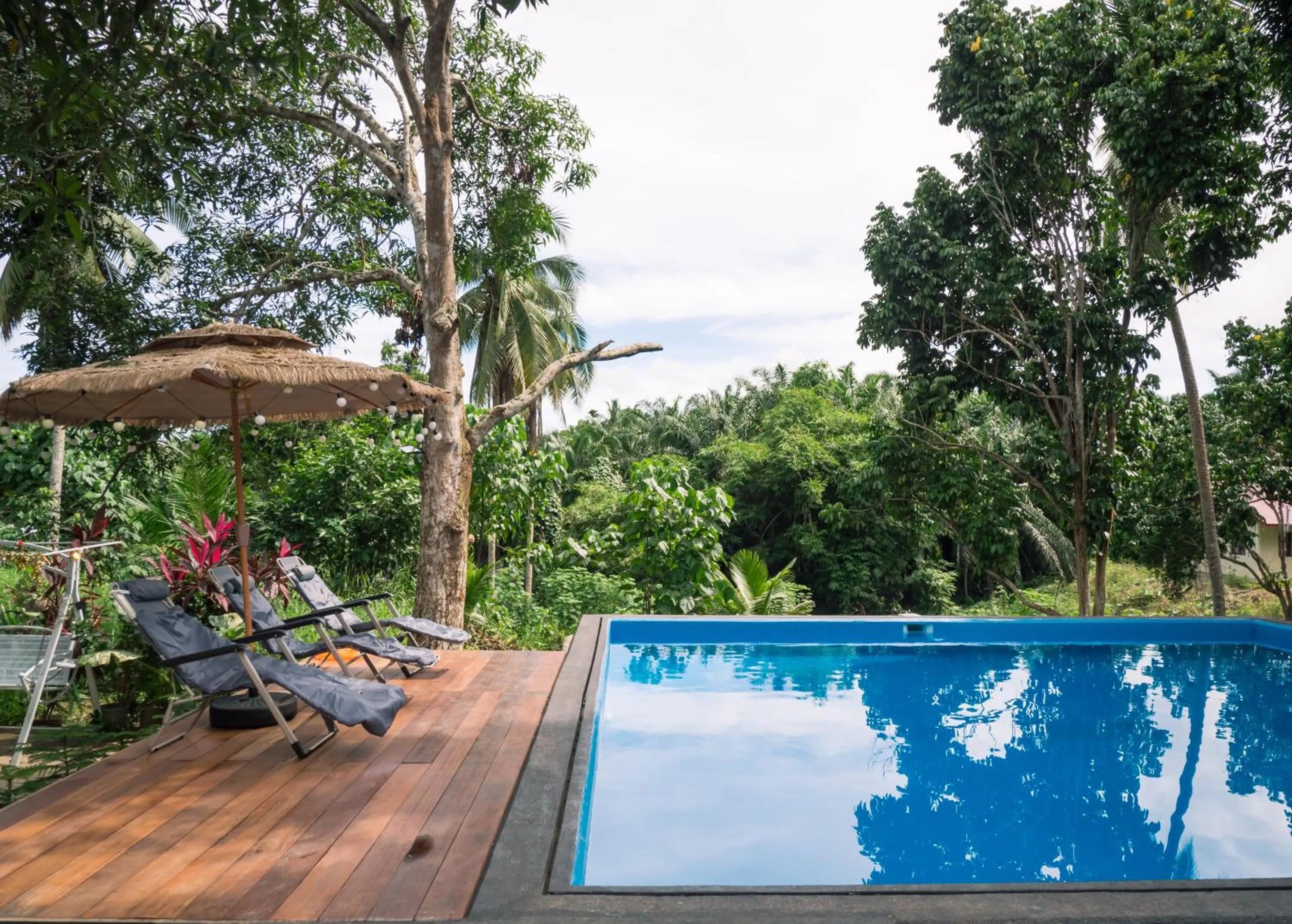 Swimming pool in Timba Garden FREE TOWN AND JETTY TRANSPORT