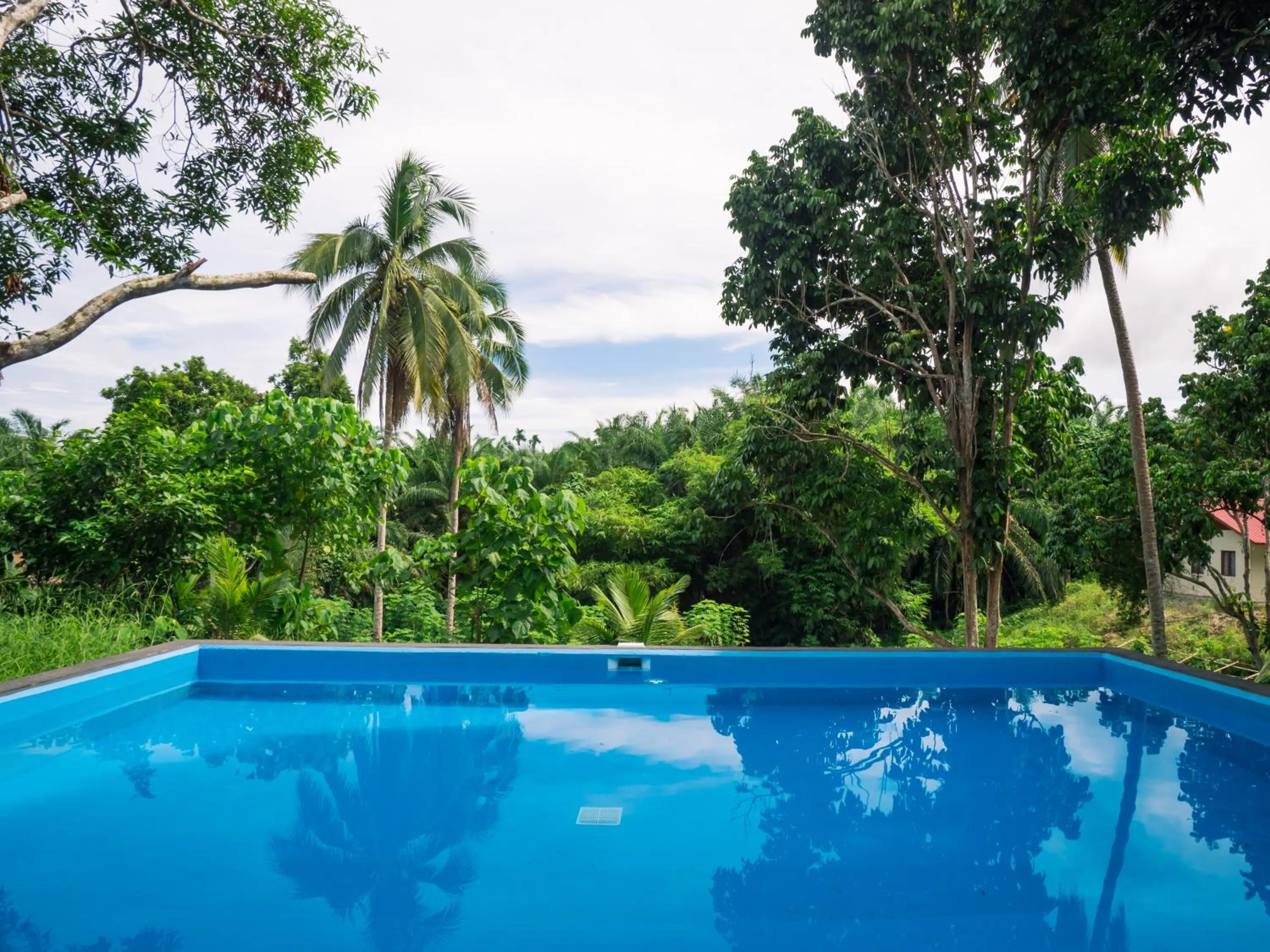 Swimming pool in Timba Garden FREE TOWN AND JETTY TRANSPORT
