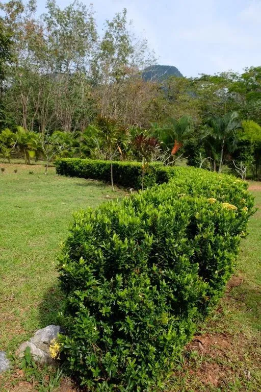 Natural landscape in Piman Pu