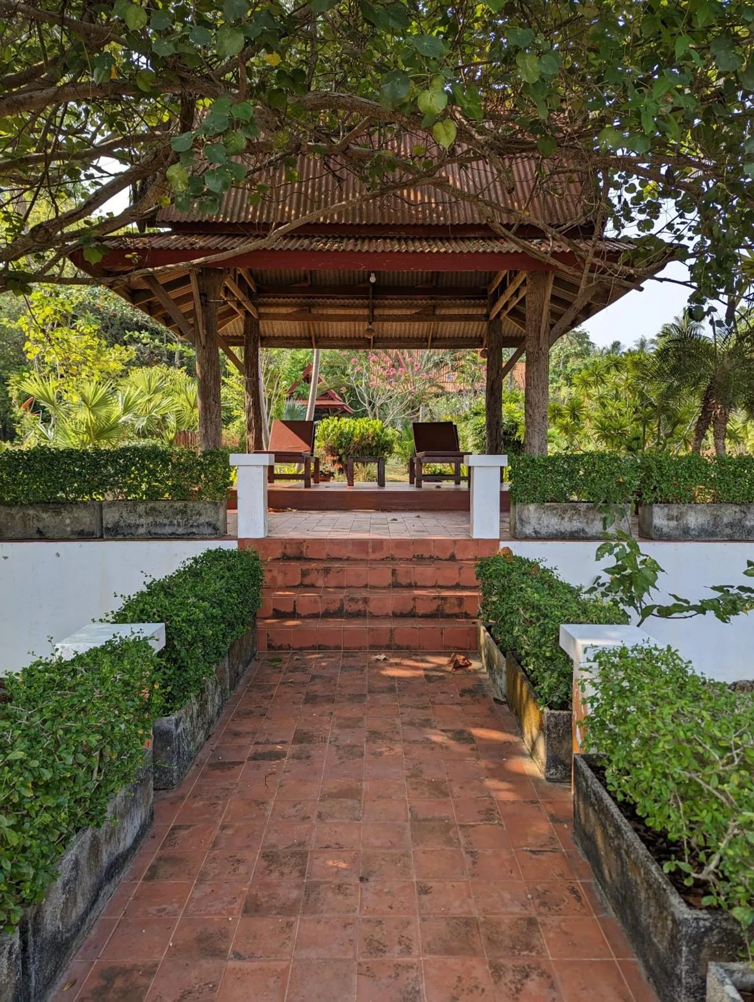 Natural landscape in Piman Pu