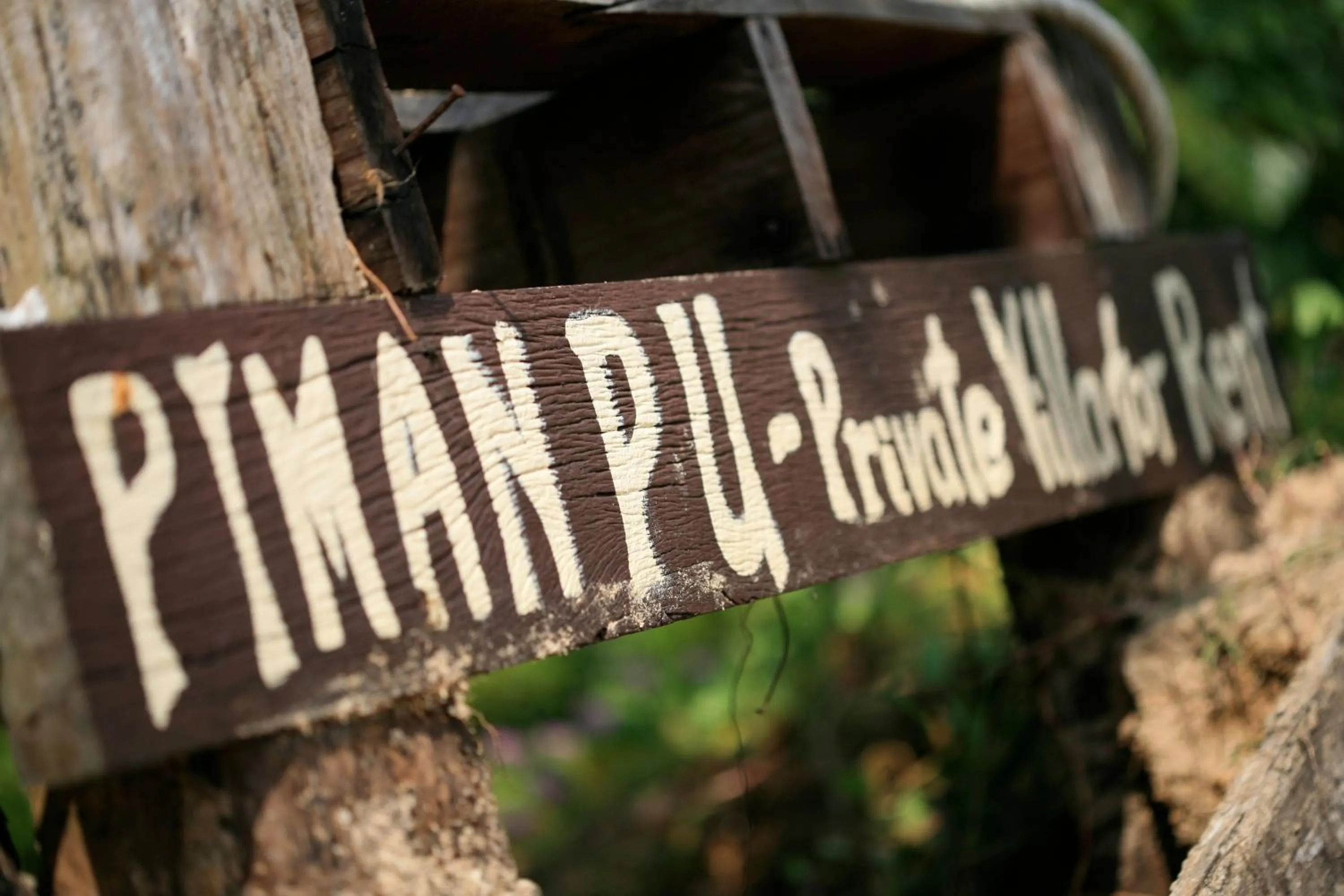 Logo/Certificate/Sign in Piman Pu