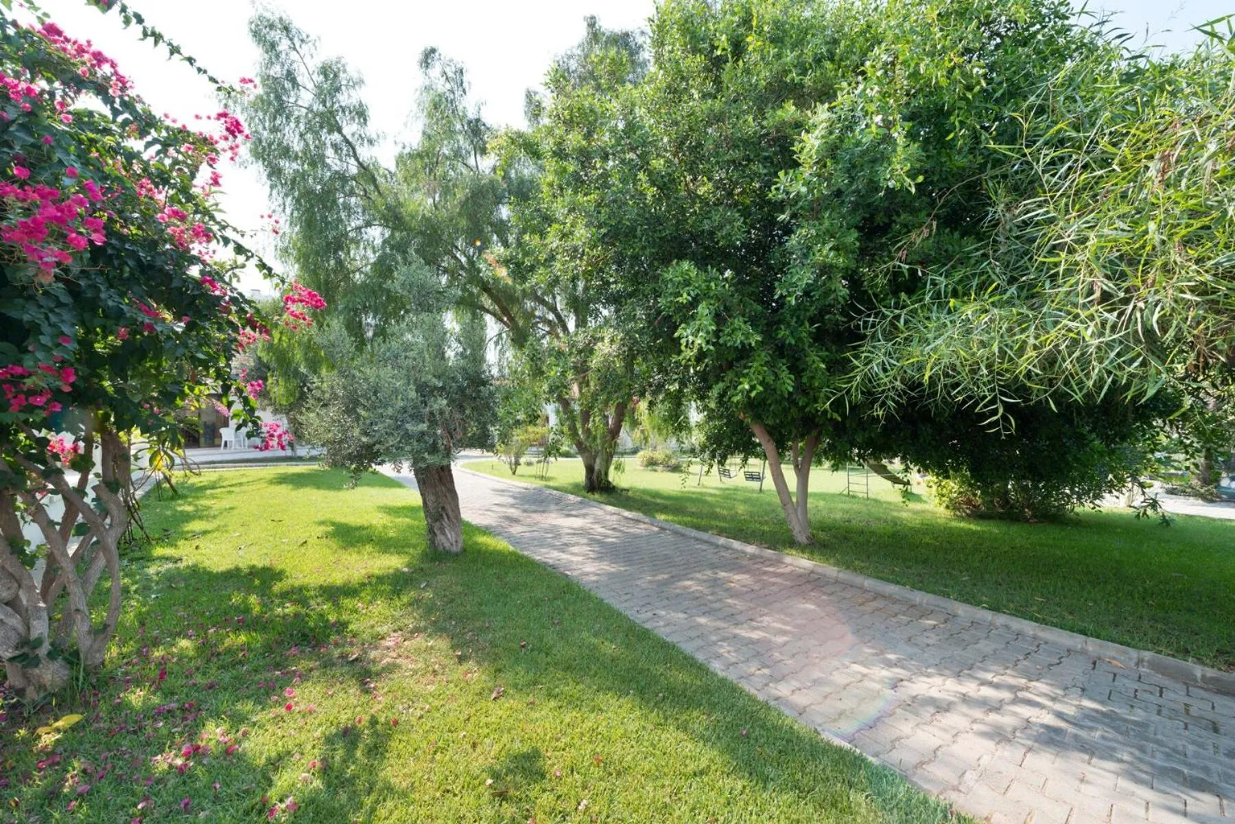 Garden in Bare Hill Holiday Apartments