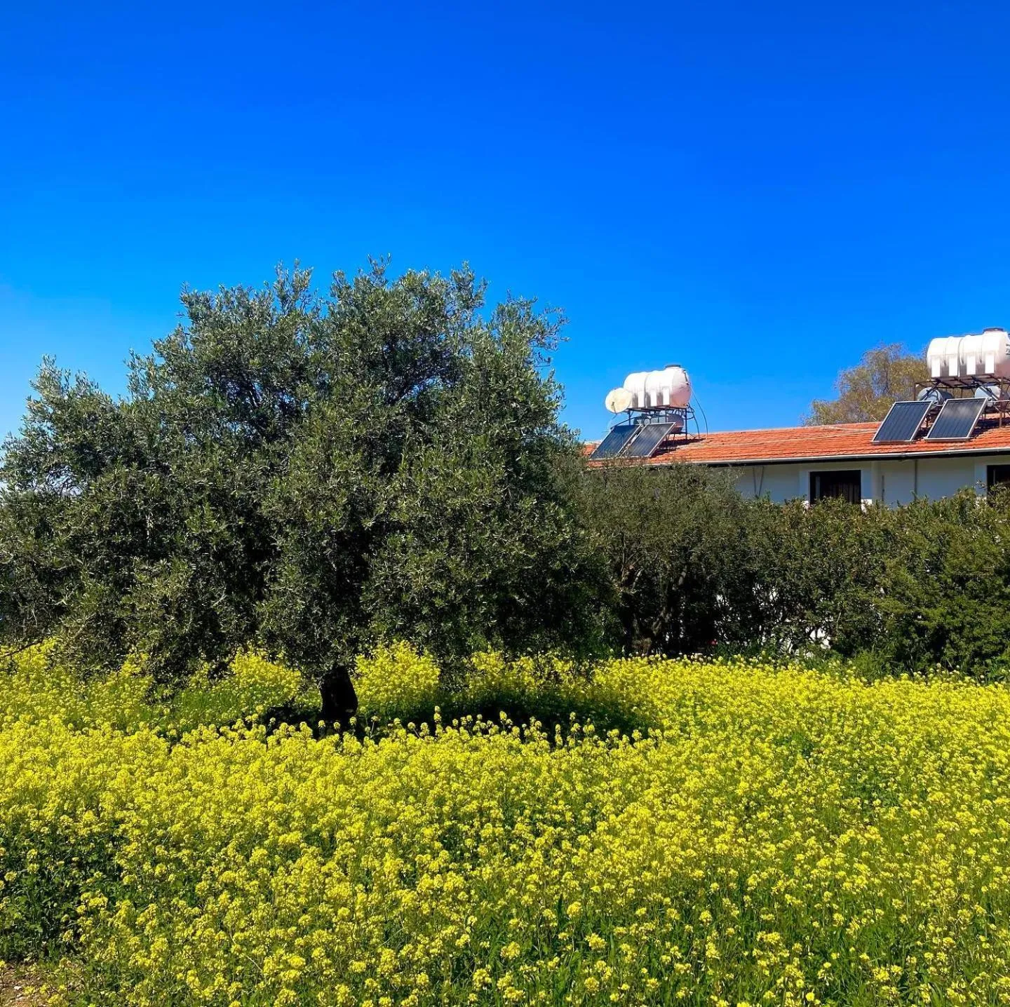 Garden in Bare Hill Holiday Apartments