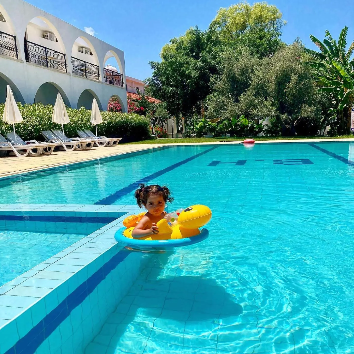 Swimming pool in Bare Hill Holiday Apartments